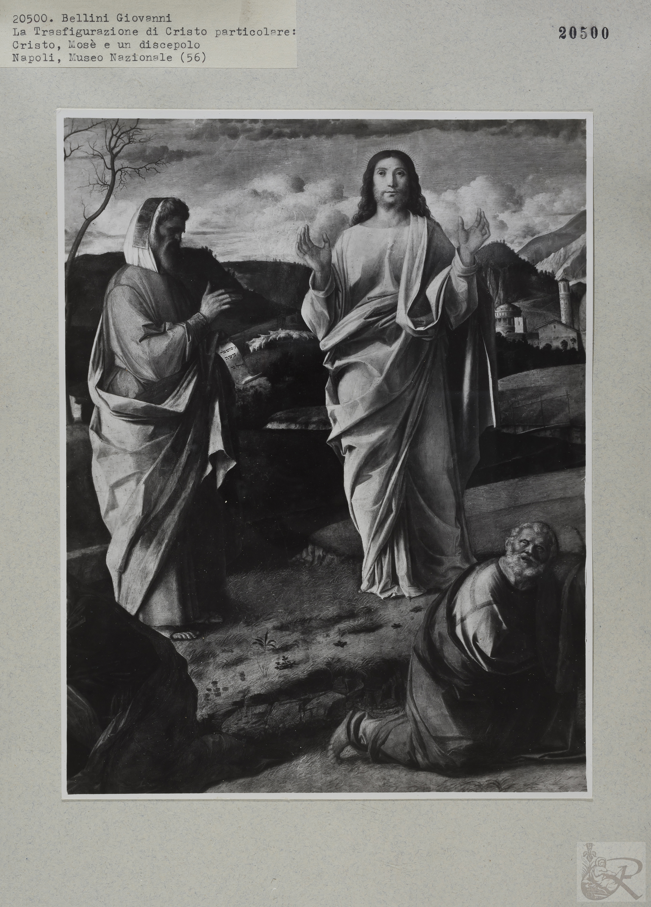 Immagine di anteprima