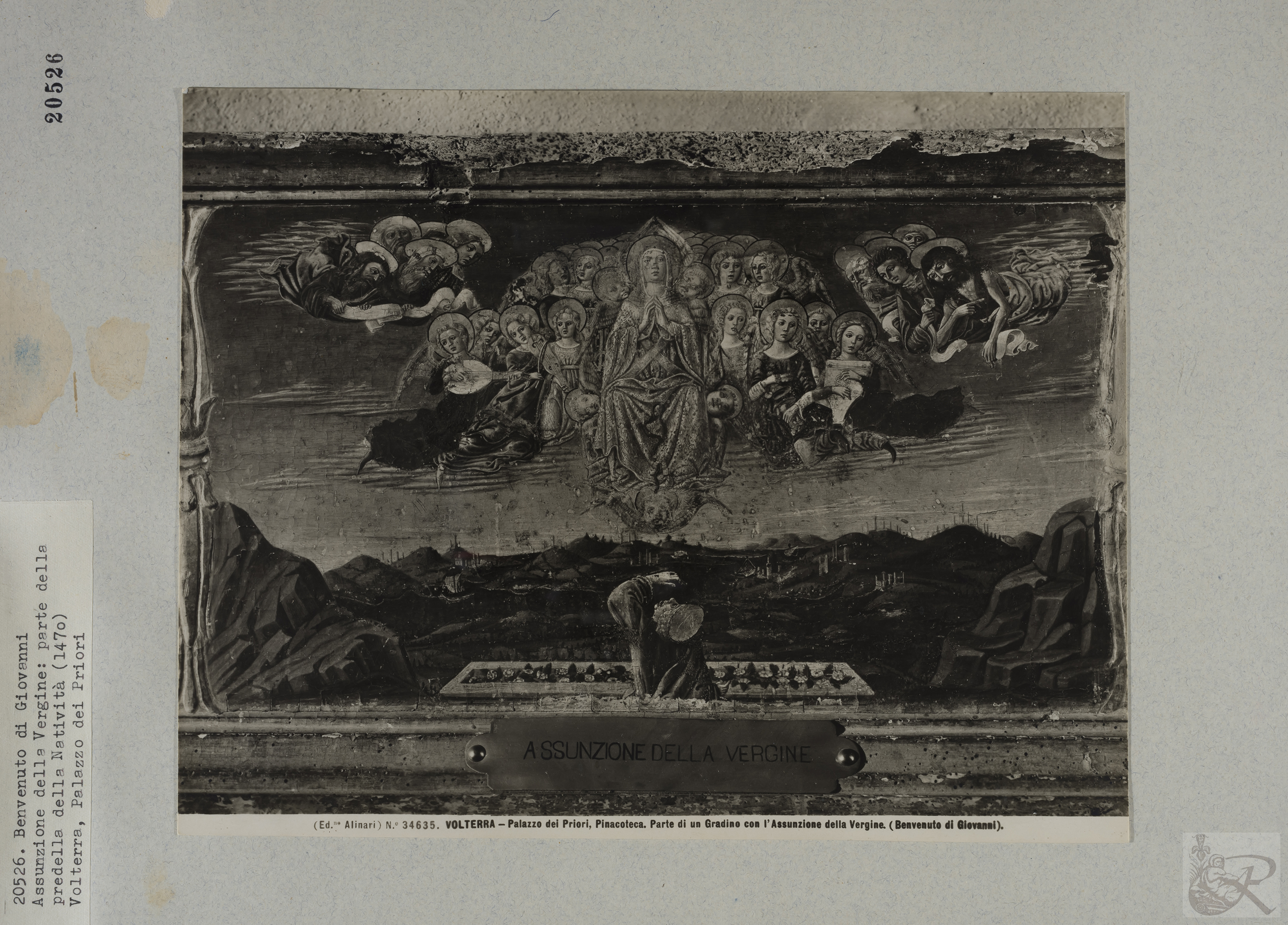 Immagine di anteprima