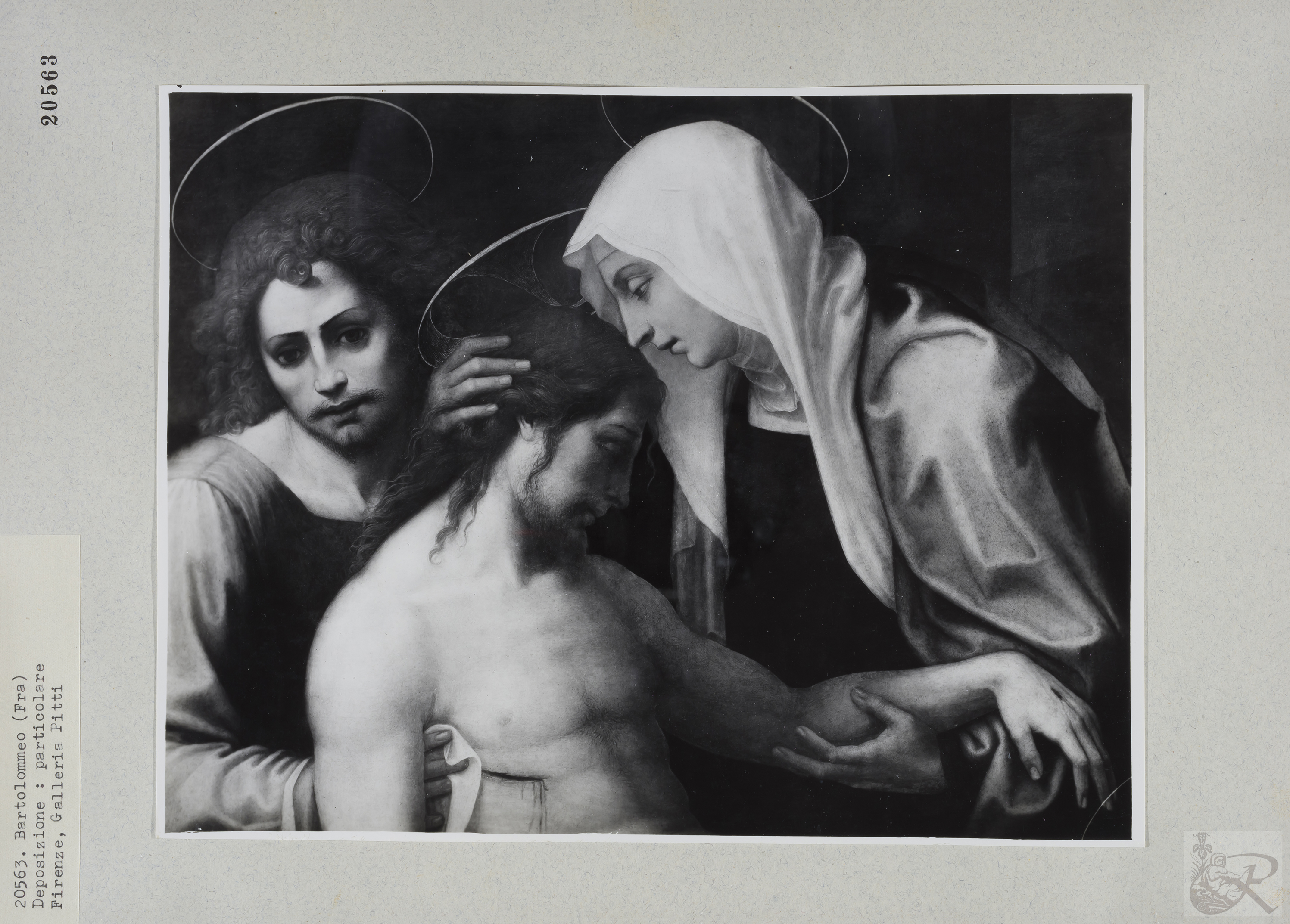 Immagine di anteprima