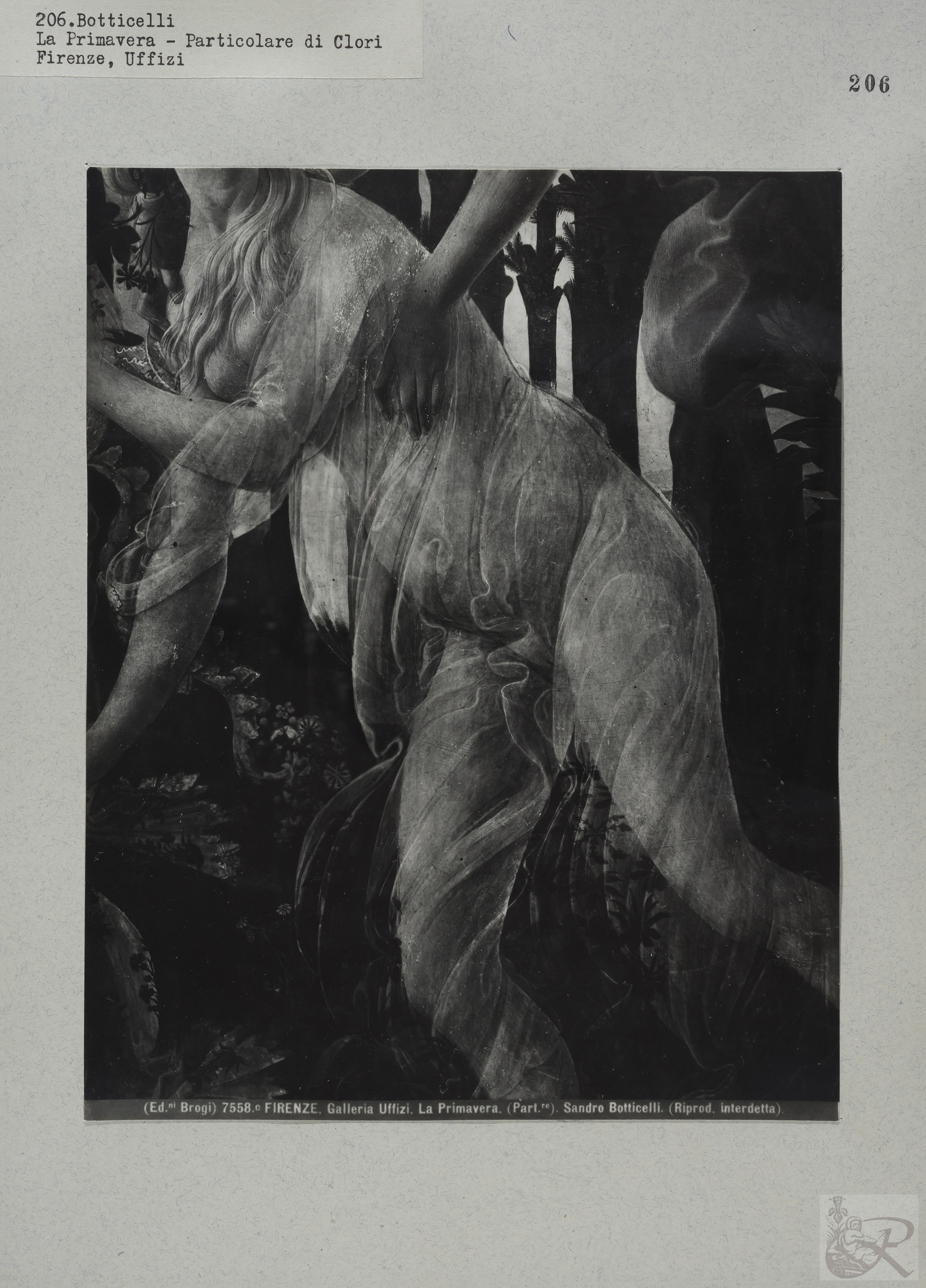 Immagine di anteprima