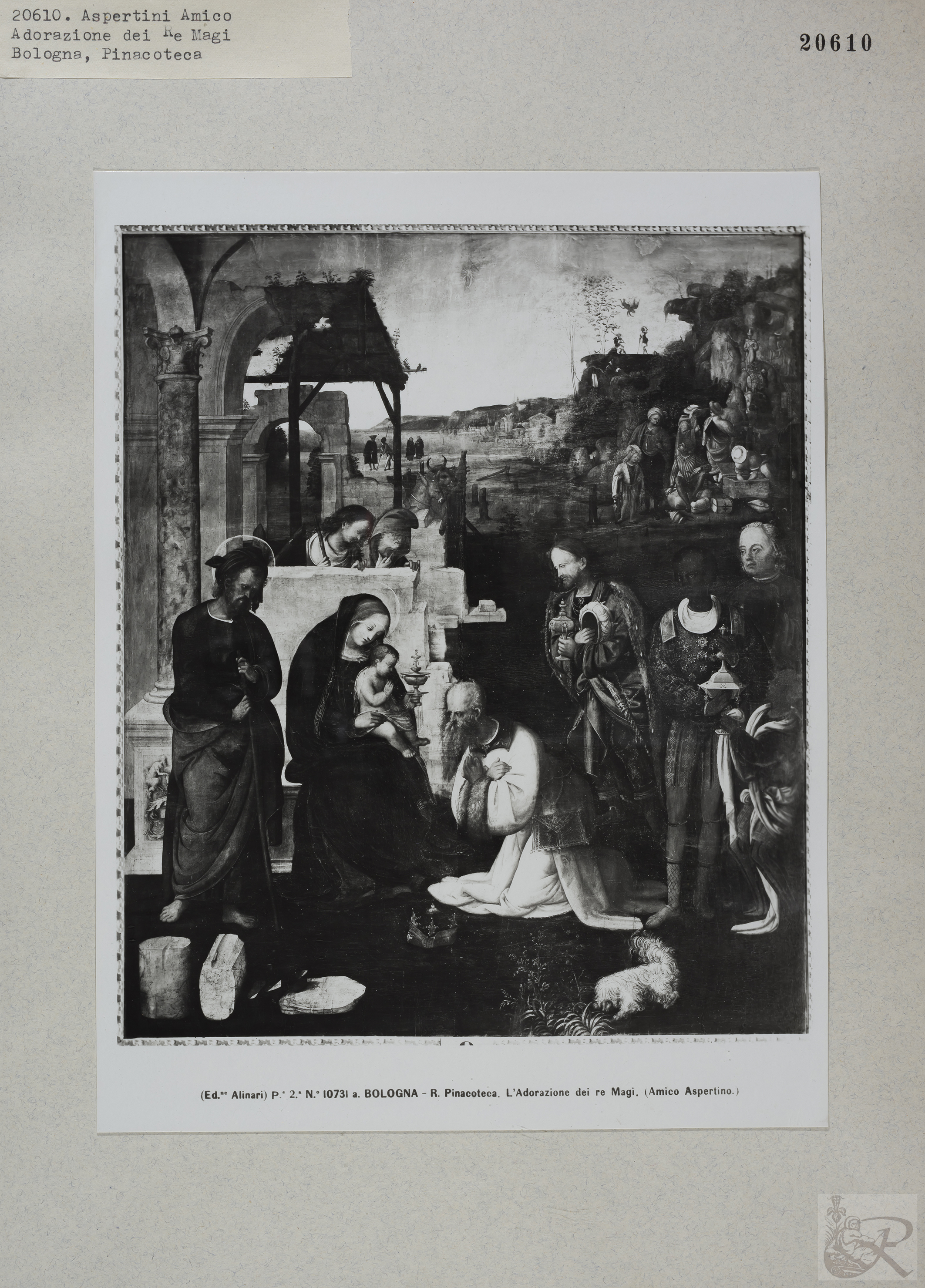 Immagine di anteprima