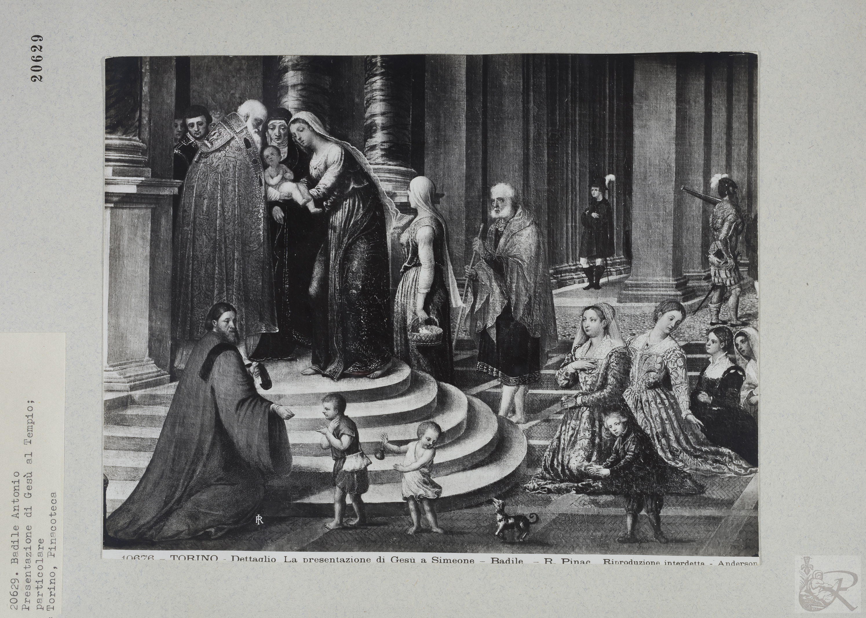 Immagine di anteprima