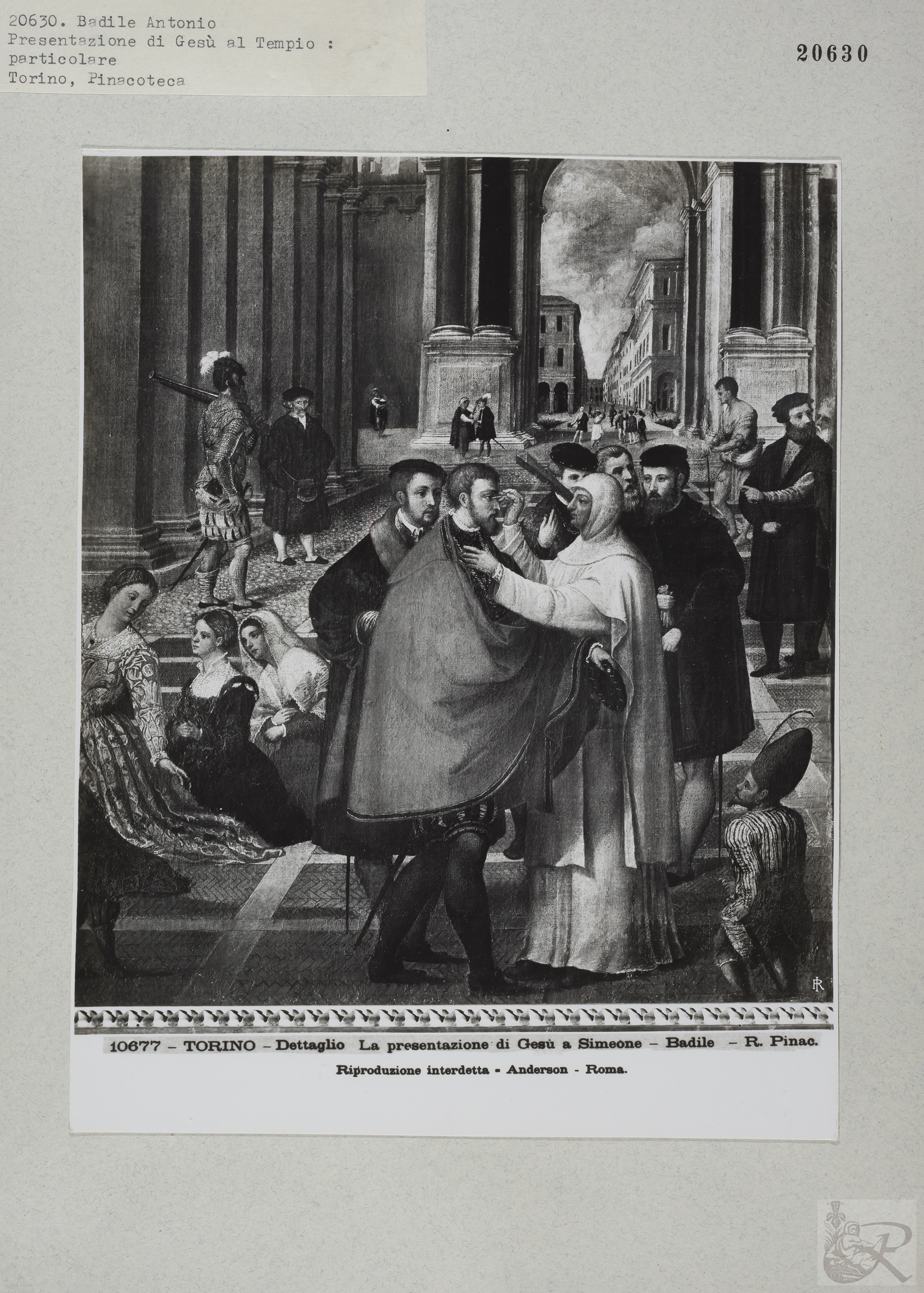 Immagine di anteprima