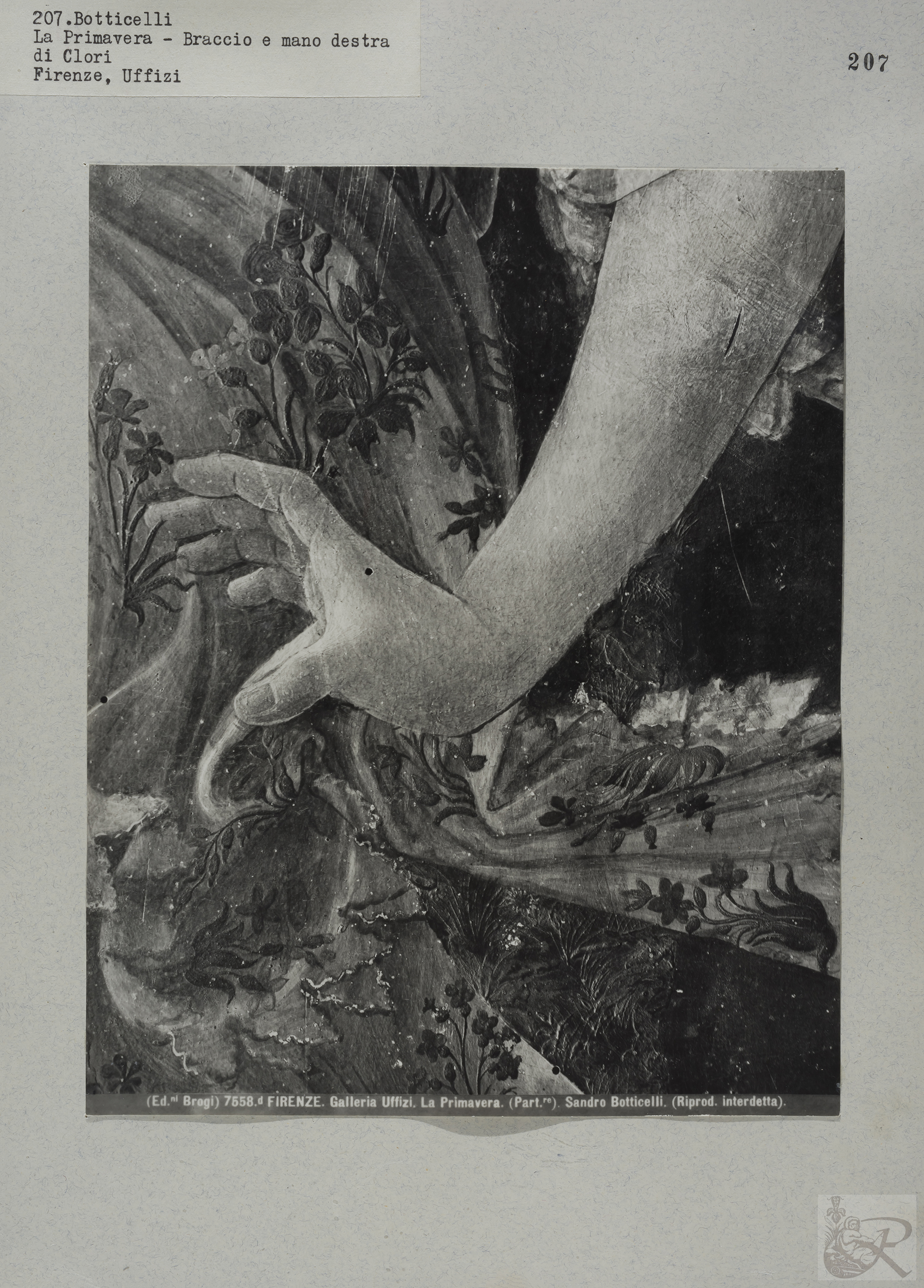 Immagine di anteprima