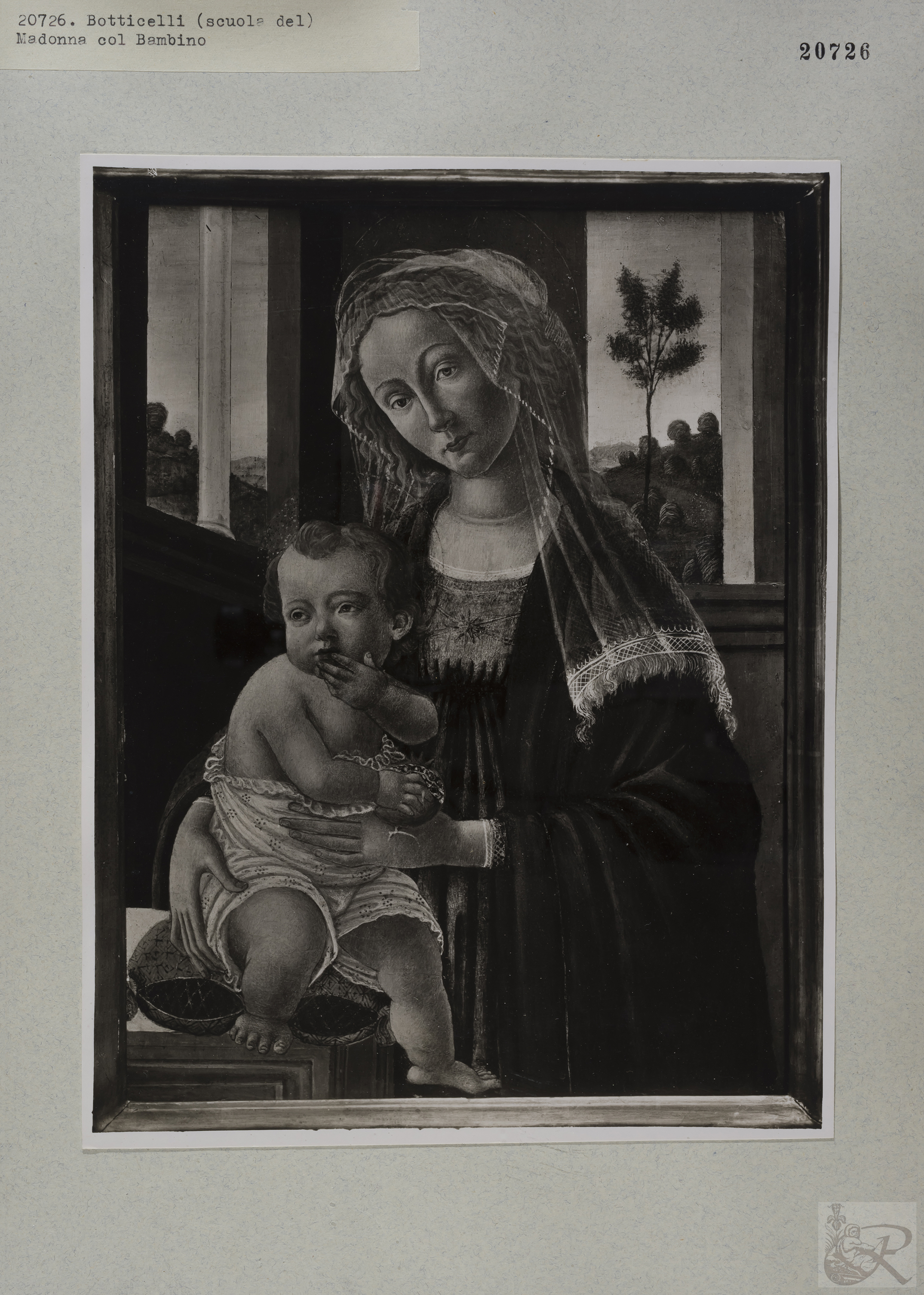 Immagine di anteprima