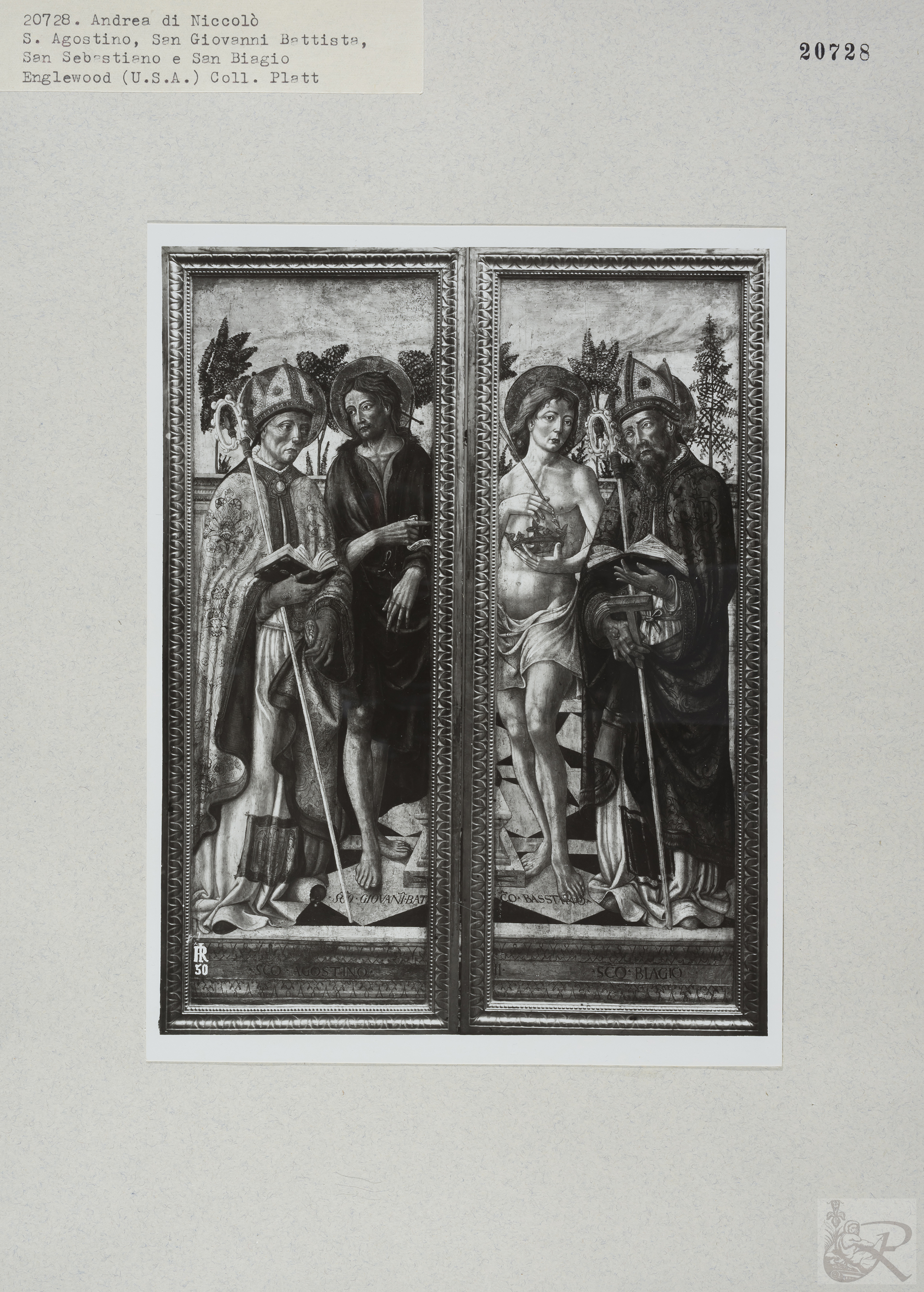 Immagine di anteprima