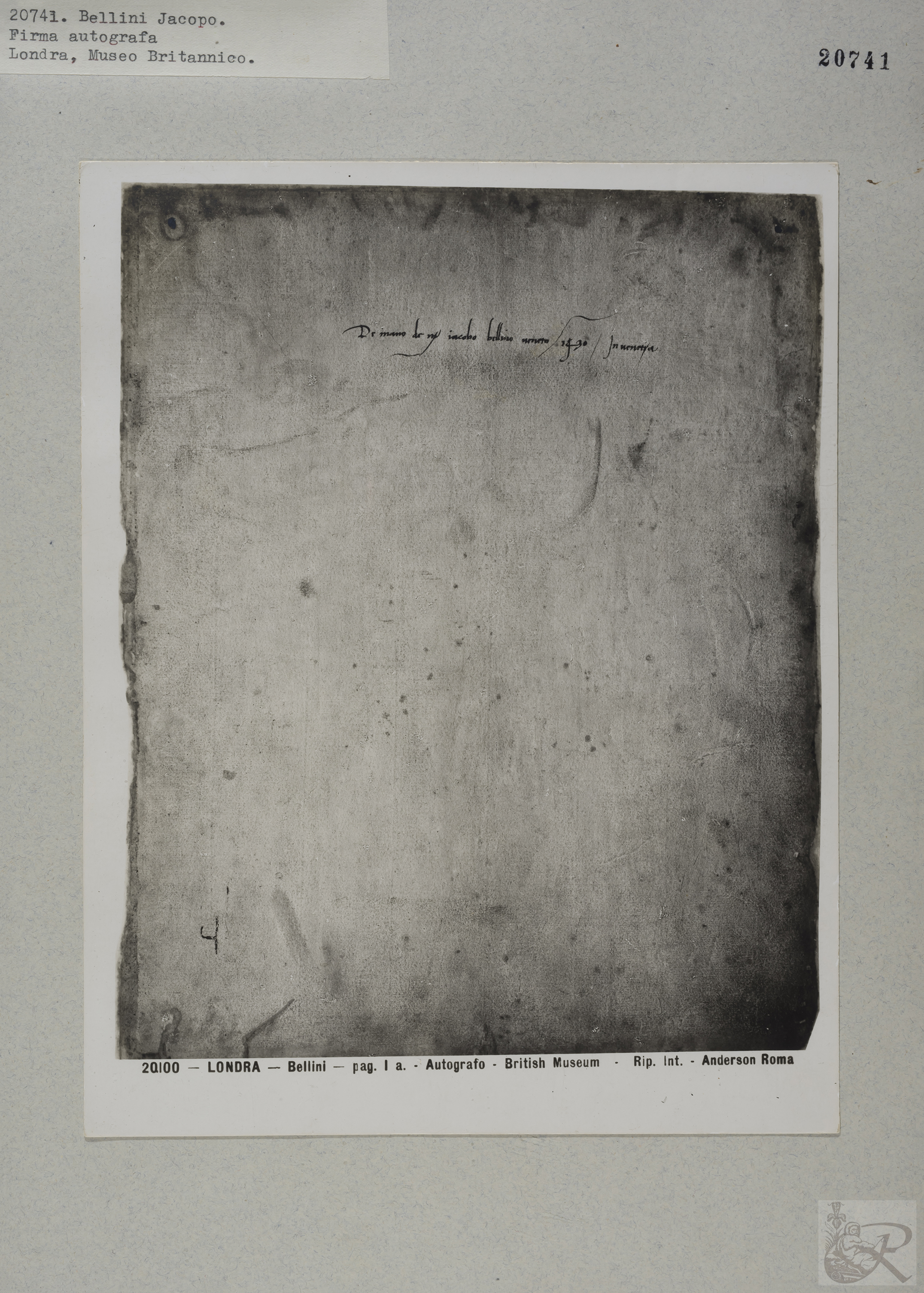 Immagine di anteprima