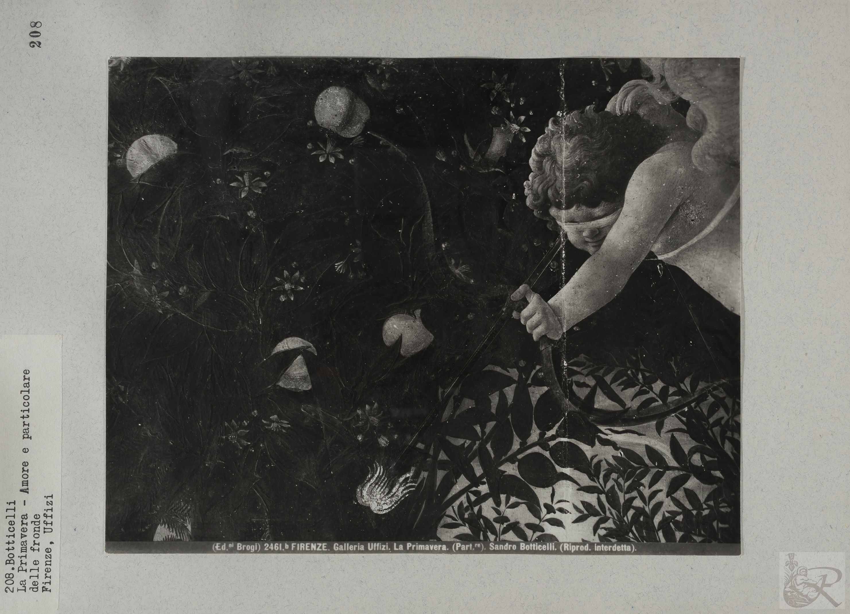 Immagine di anteprima