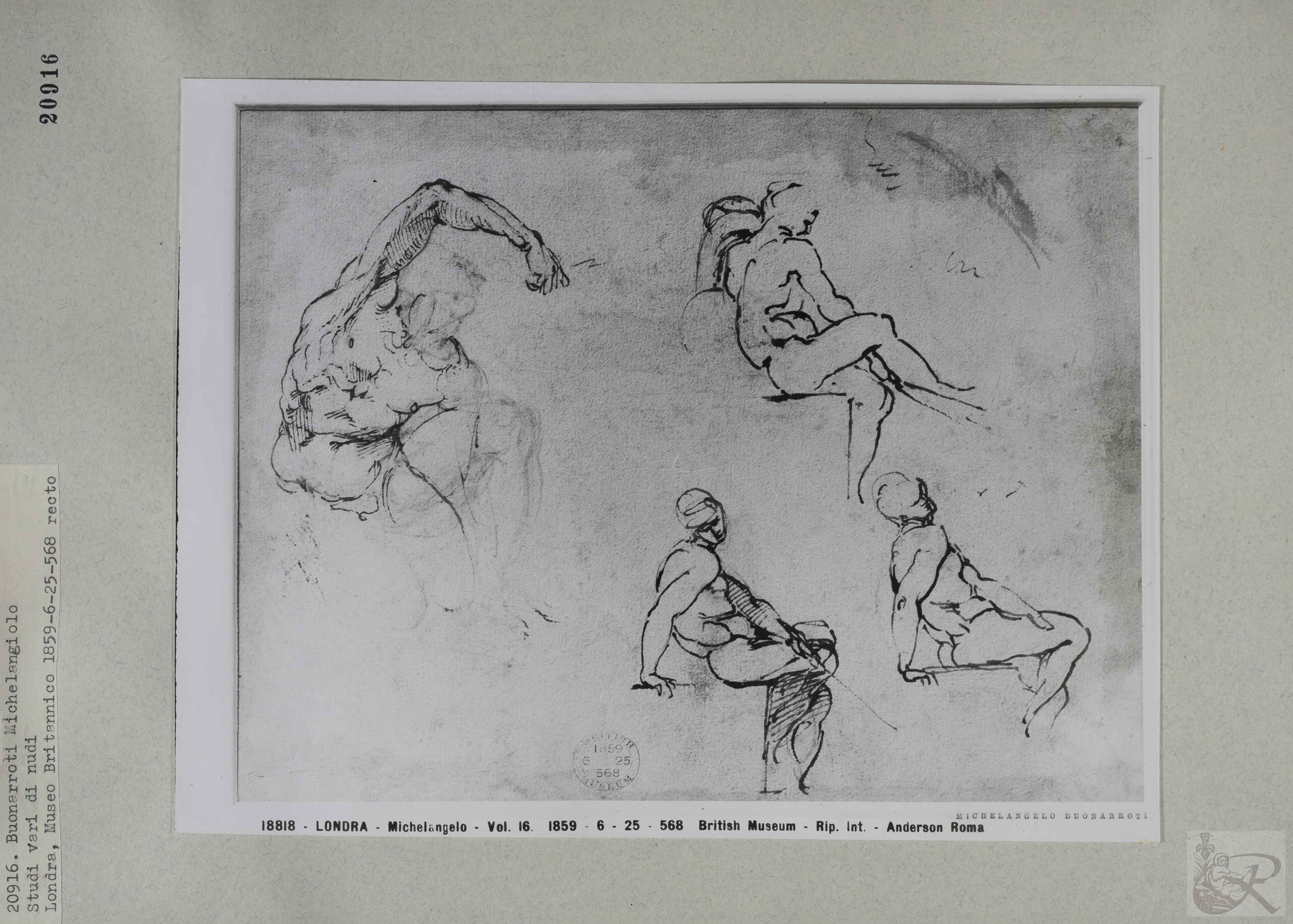 Immagine di anteprima