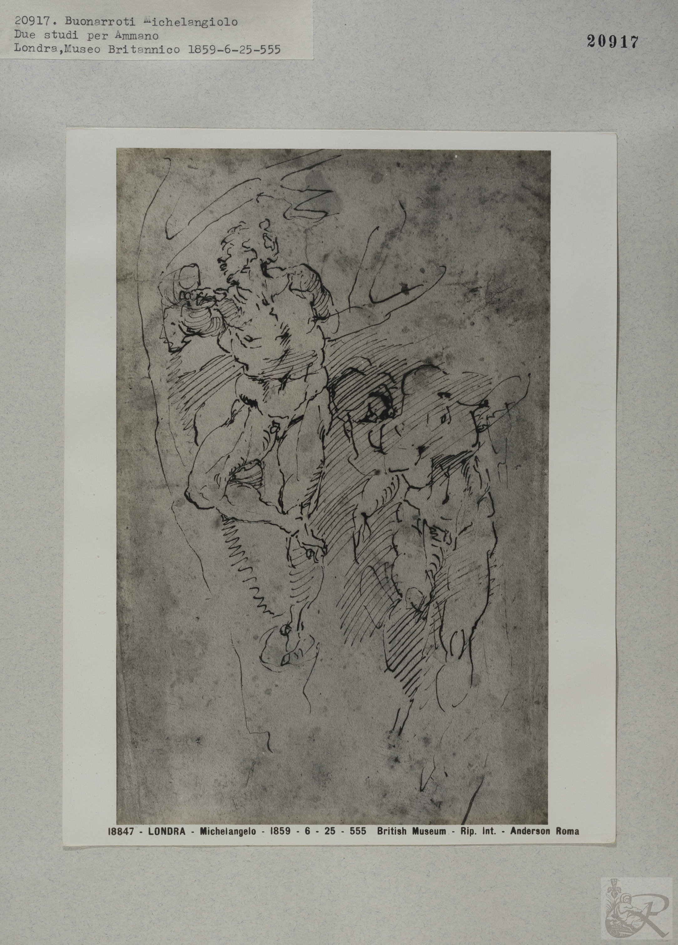 Immagine di anteprima