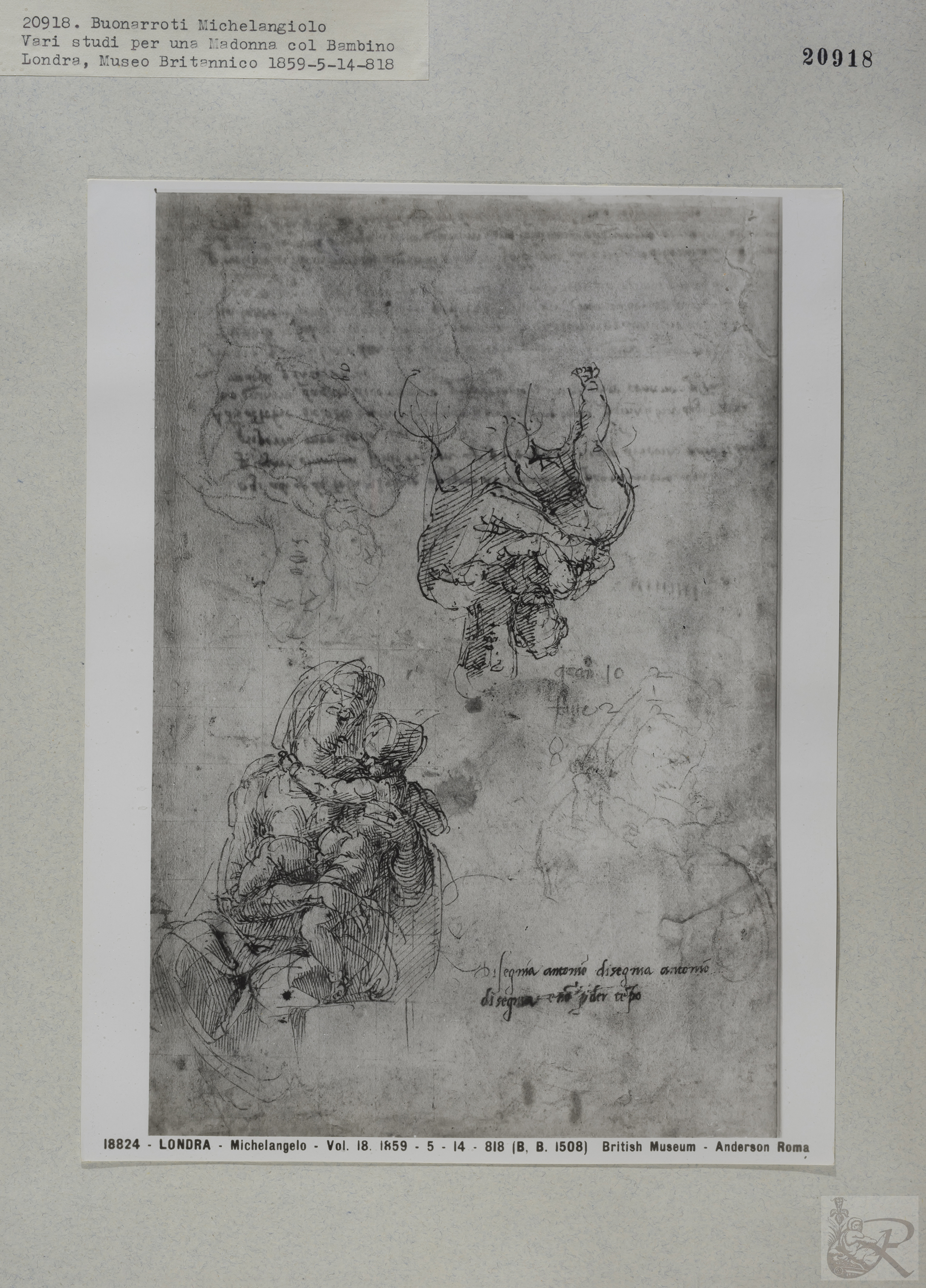 Immagine di anteprima