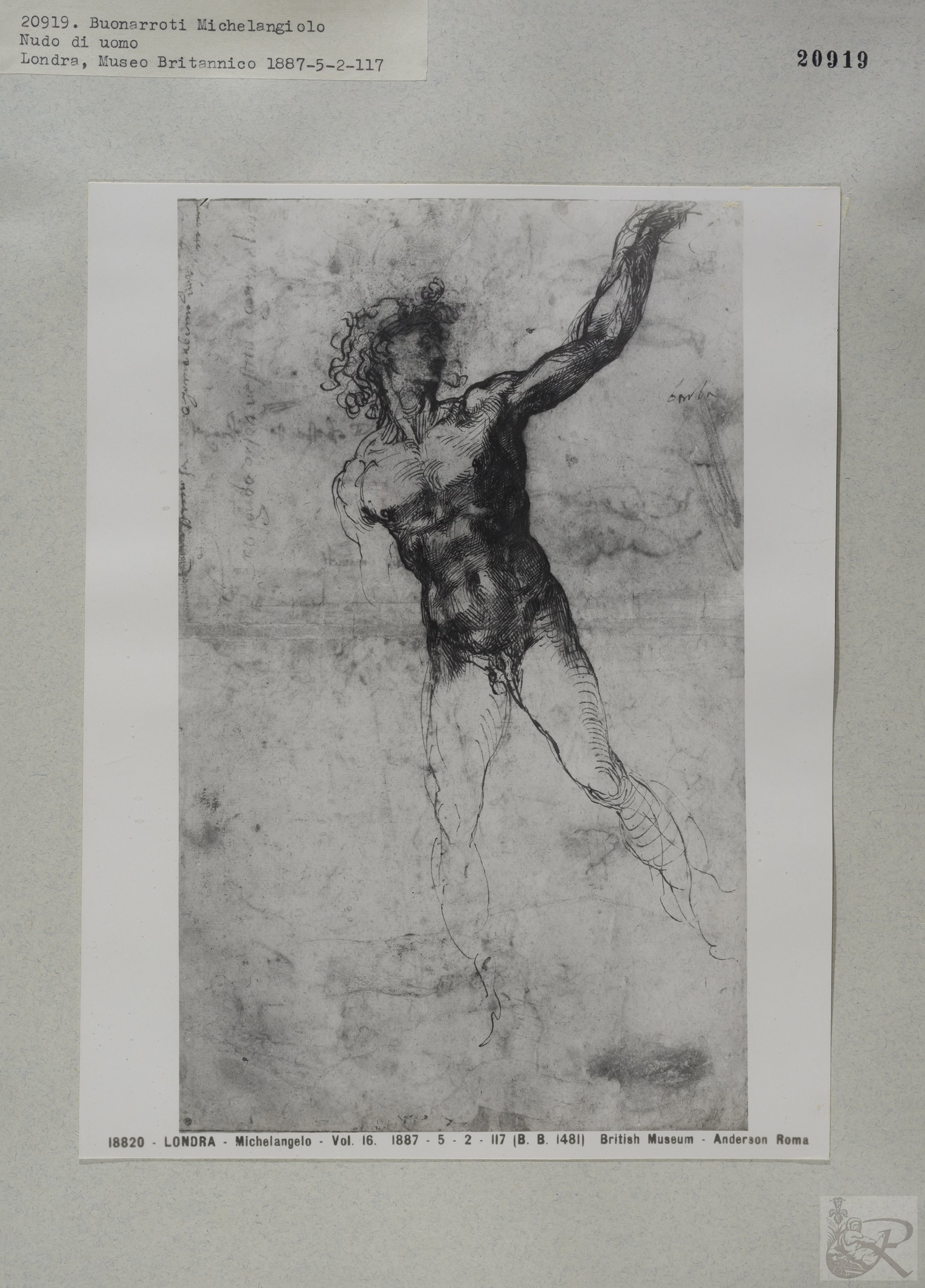 Immagine di anteprima