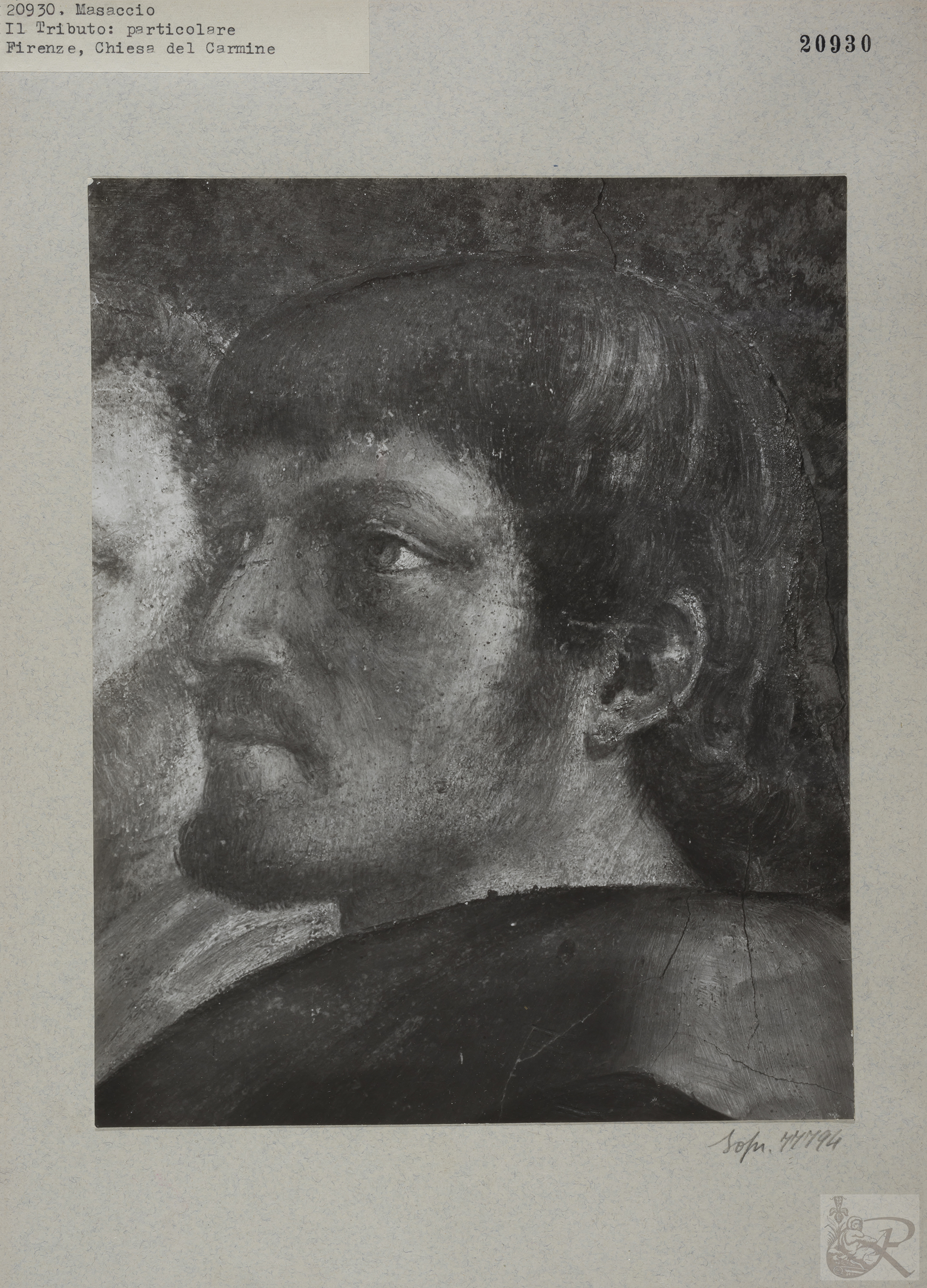 Immagine di anteprima