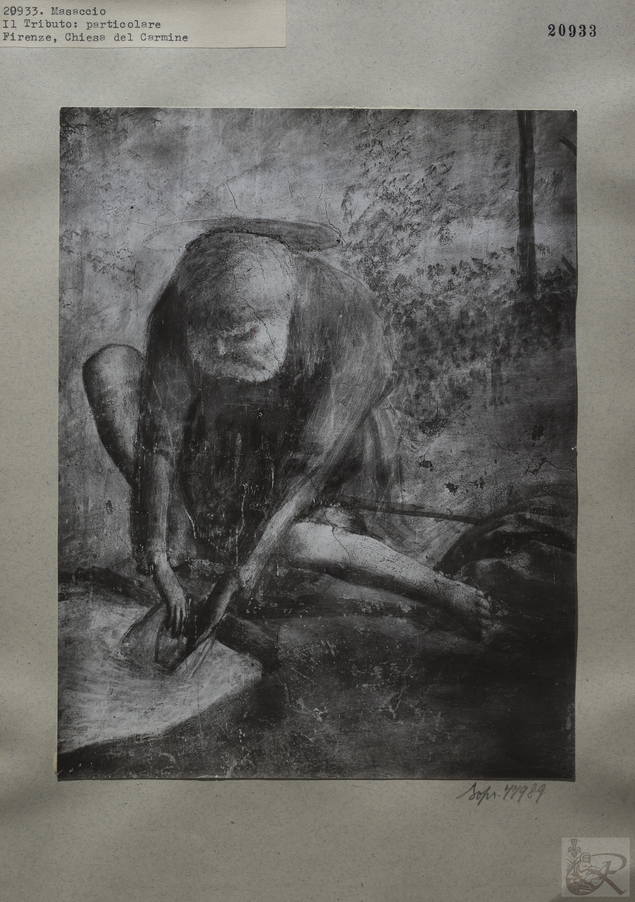 Immagine di anteprima