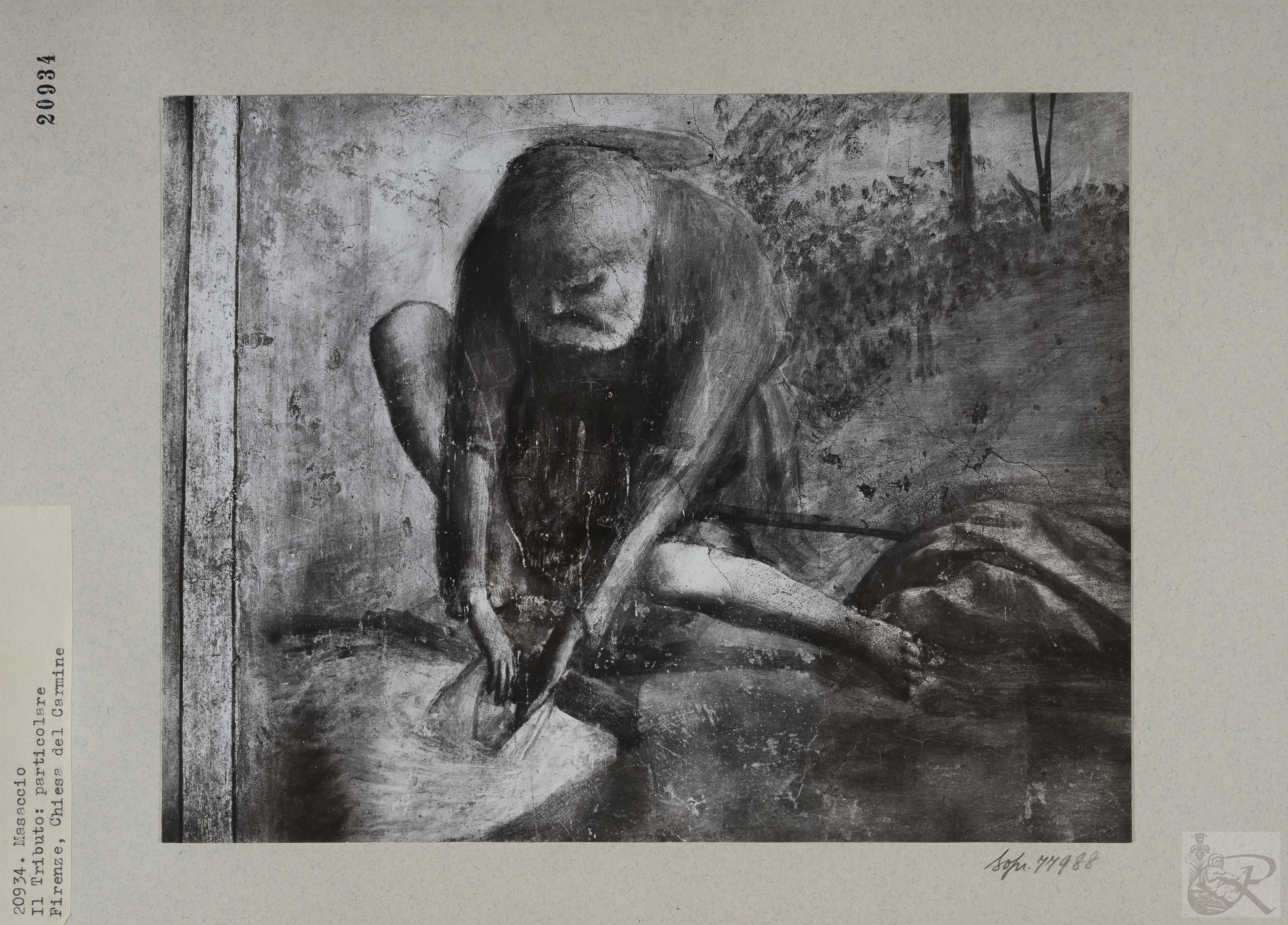 Immagine di anteprima