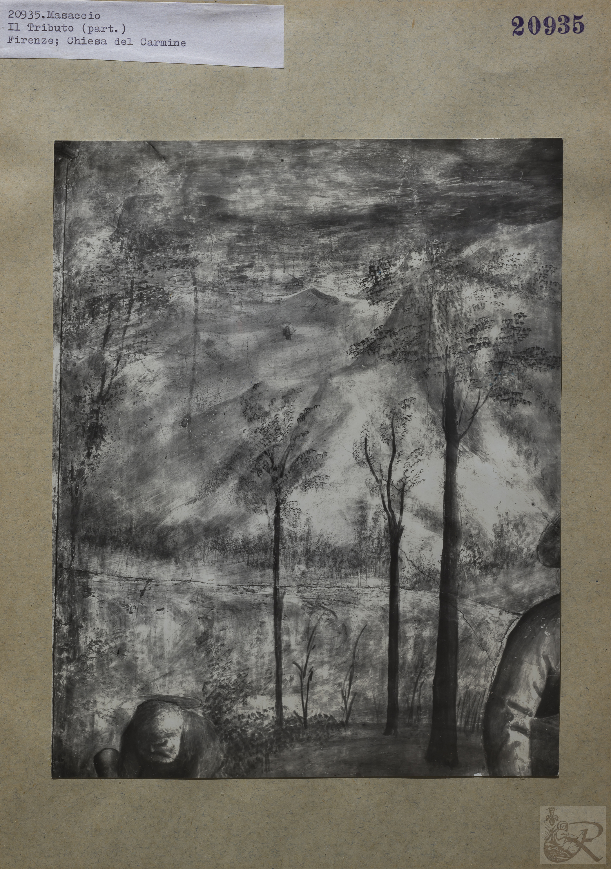 Immagine di anteprima