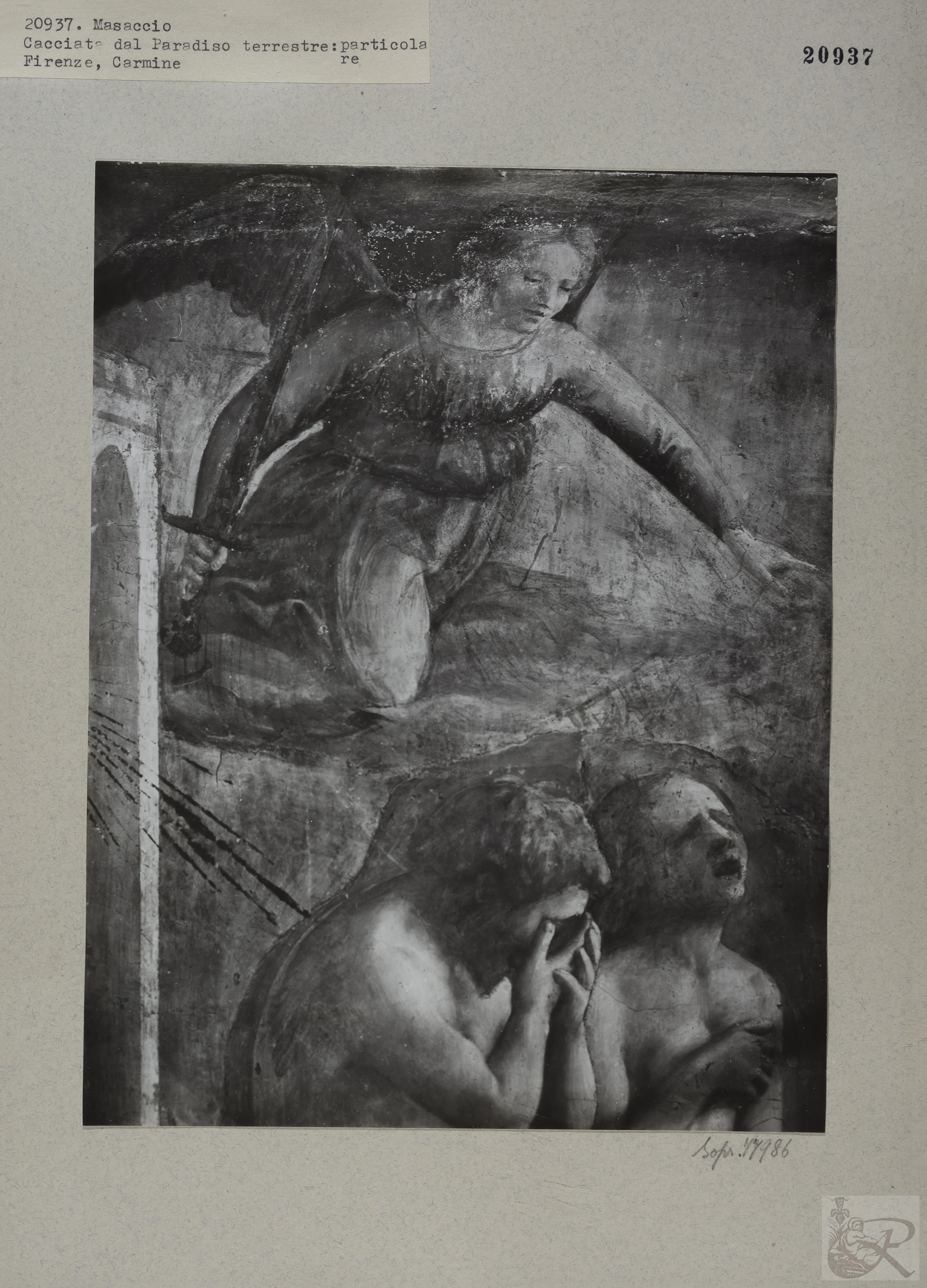 Immagine di anteprima