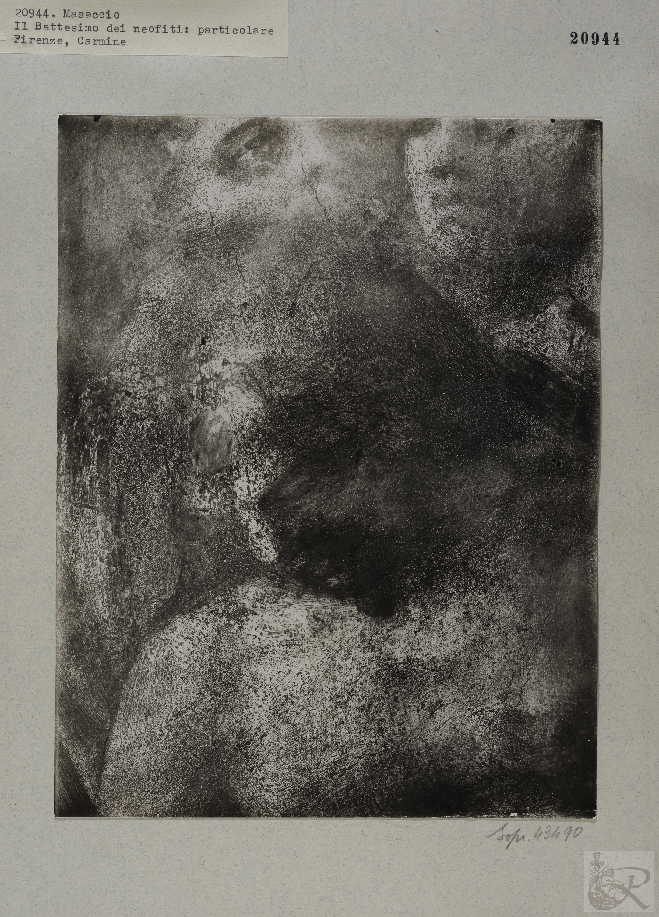 Immagine di anteprima