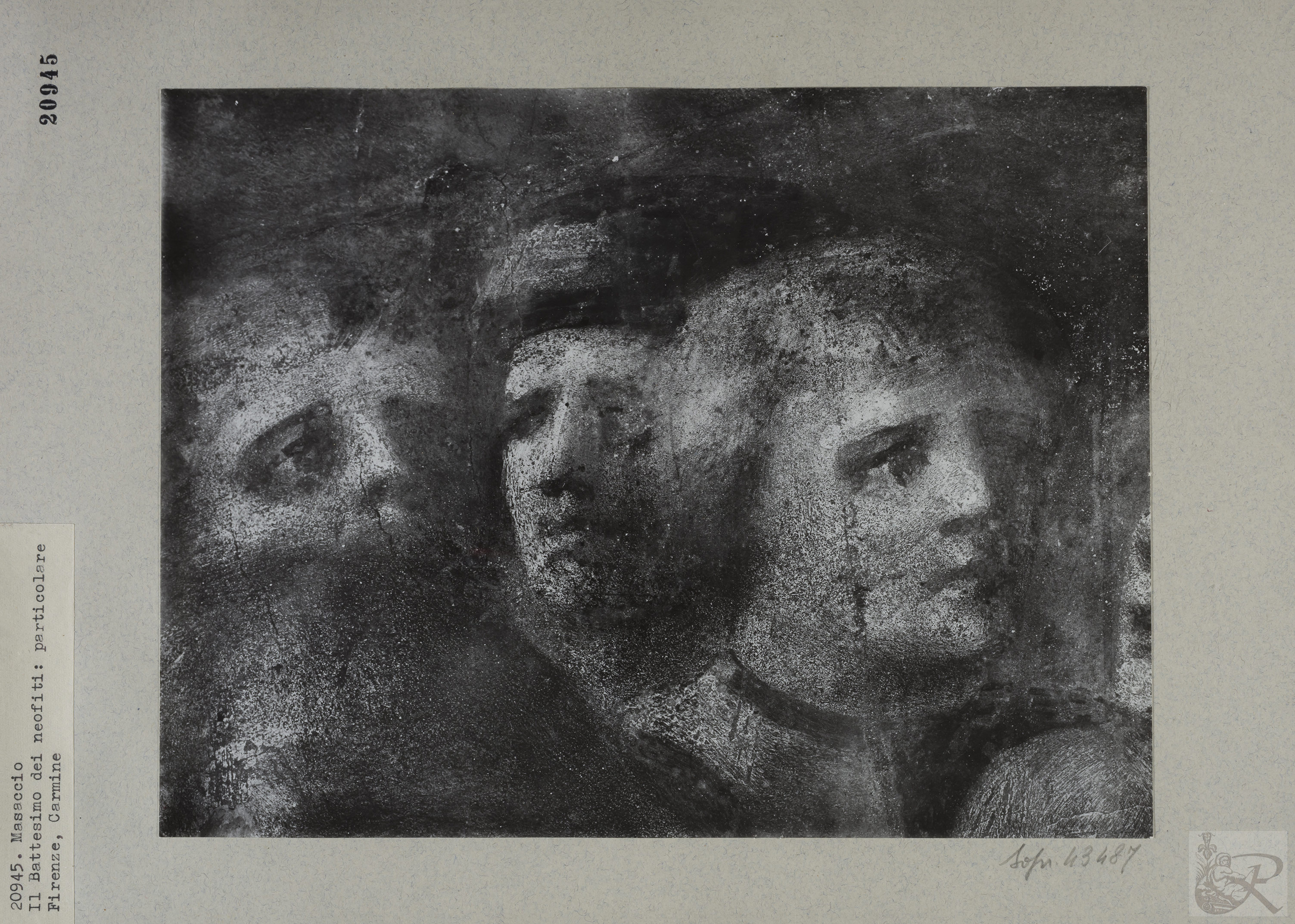 Immagine di anteprima