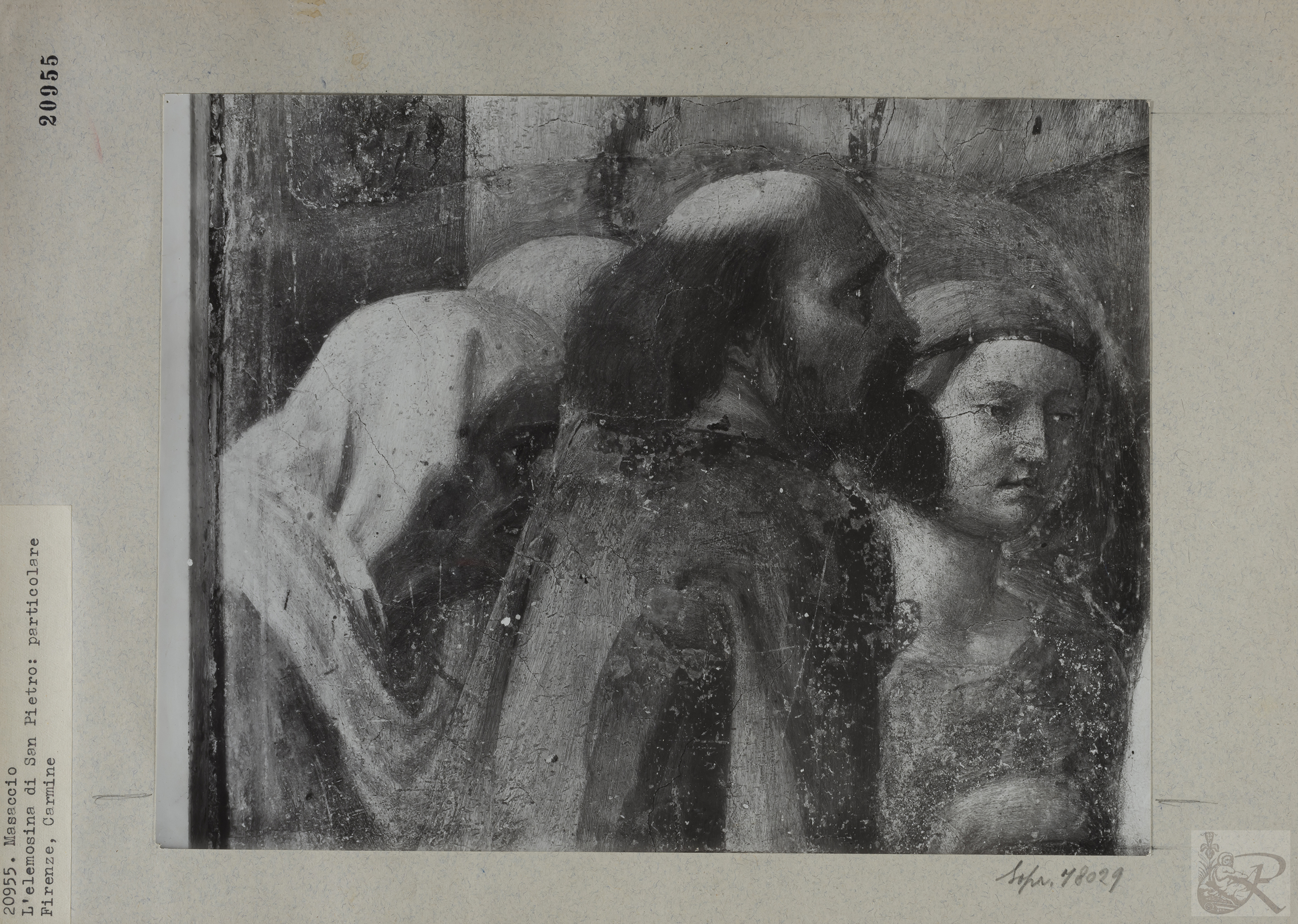 Immagine di anteprima