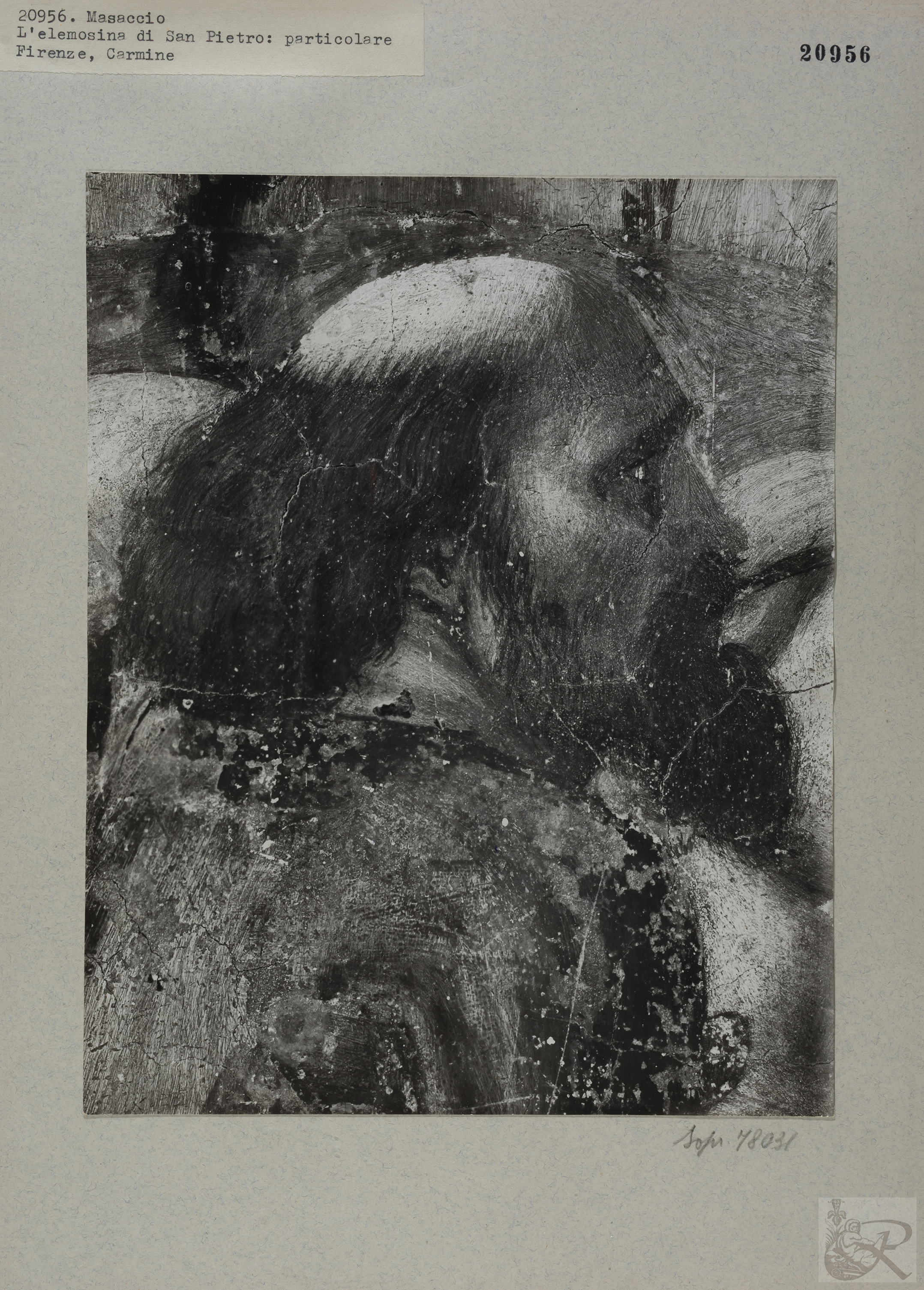 Immagine di anteprima