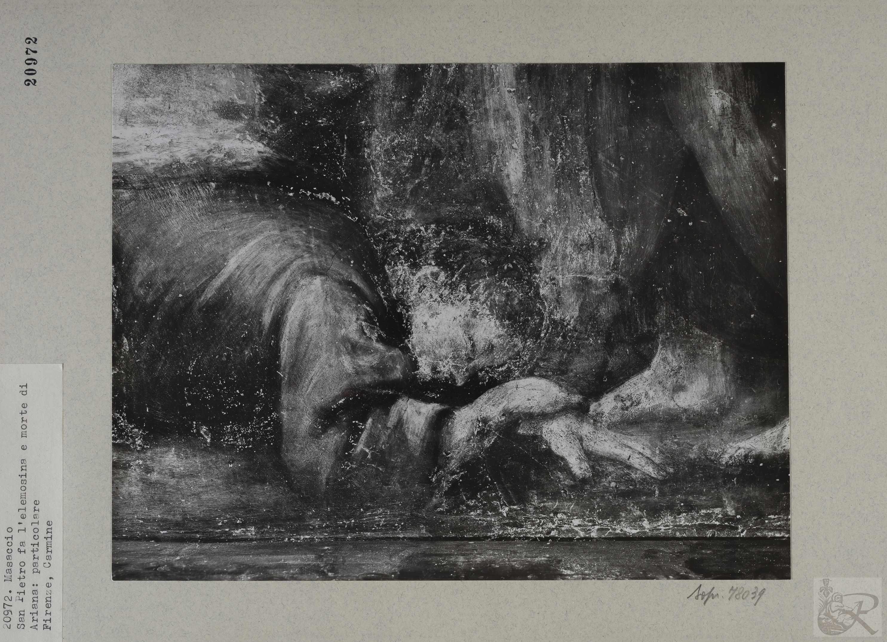 Immagine di anteprima