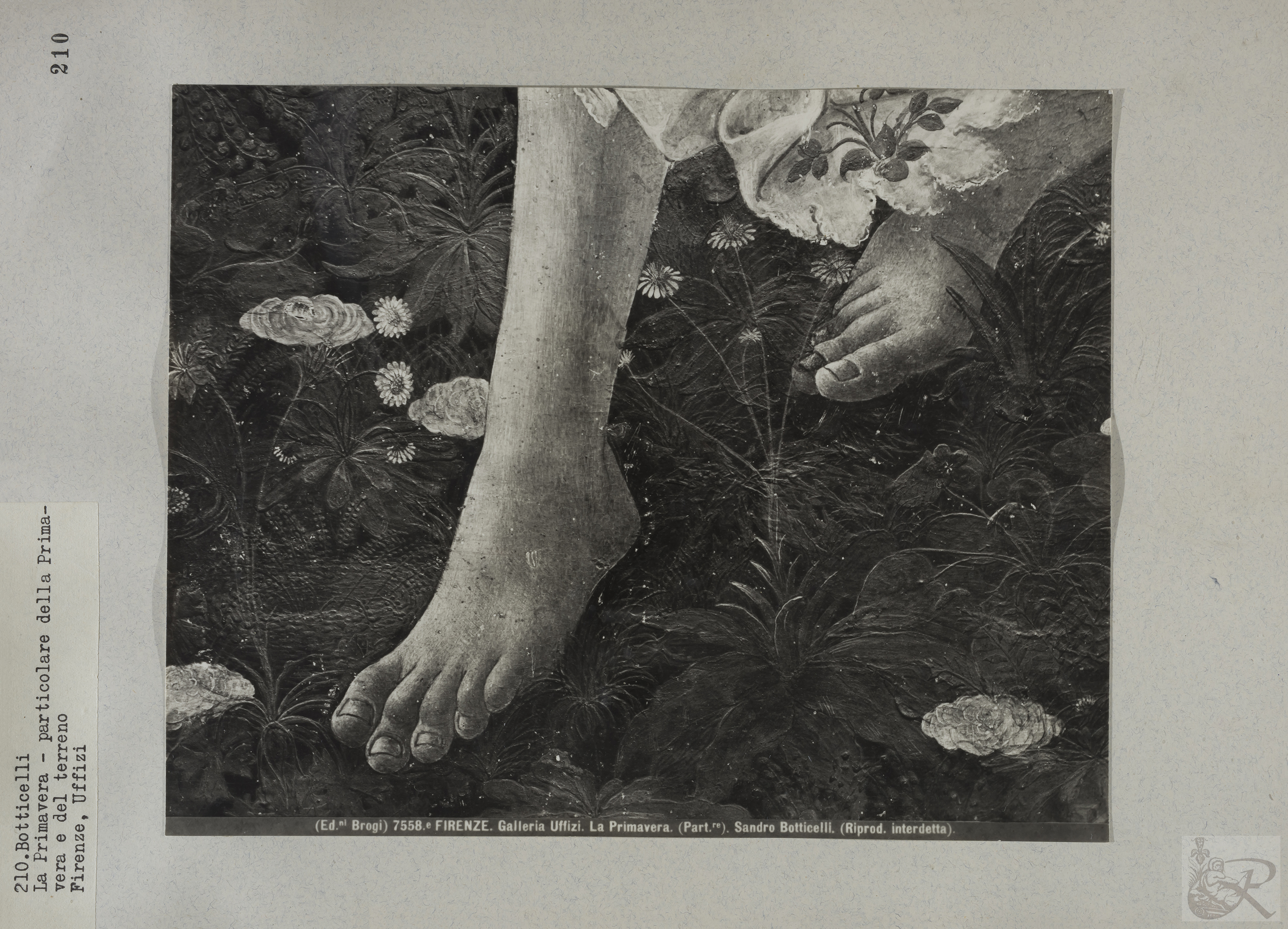 Immagine di anteprima