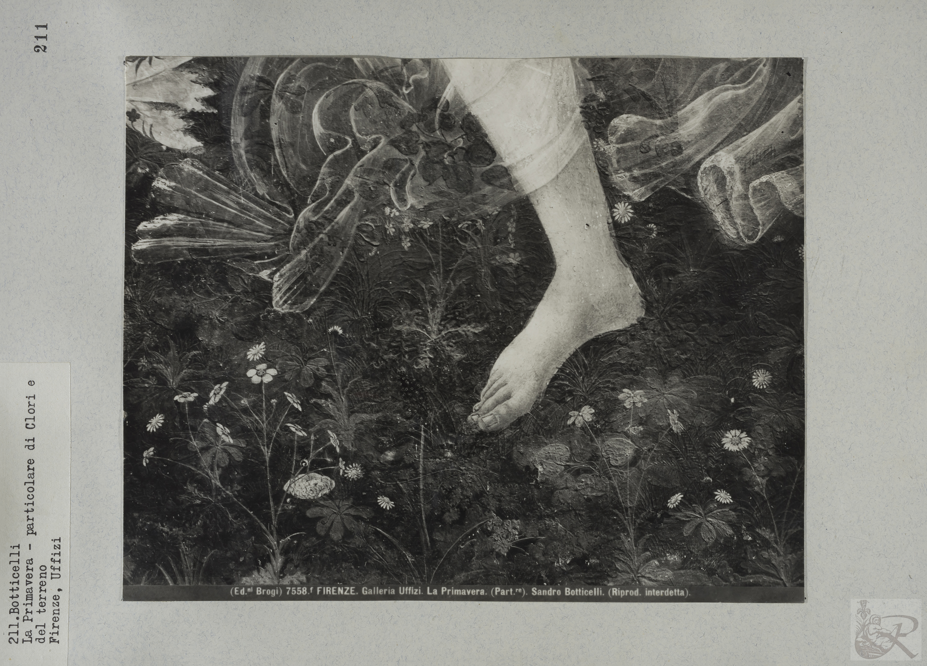 Immagine di anteprima