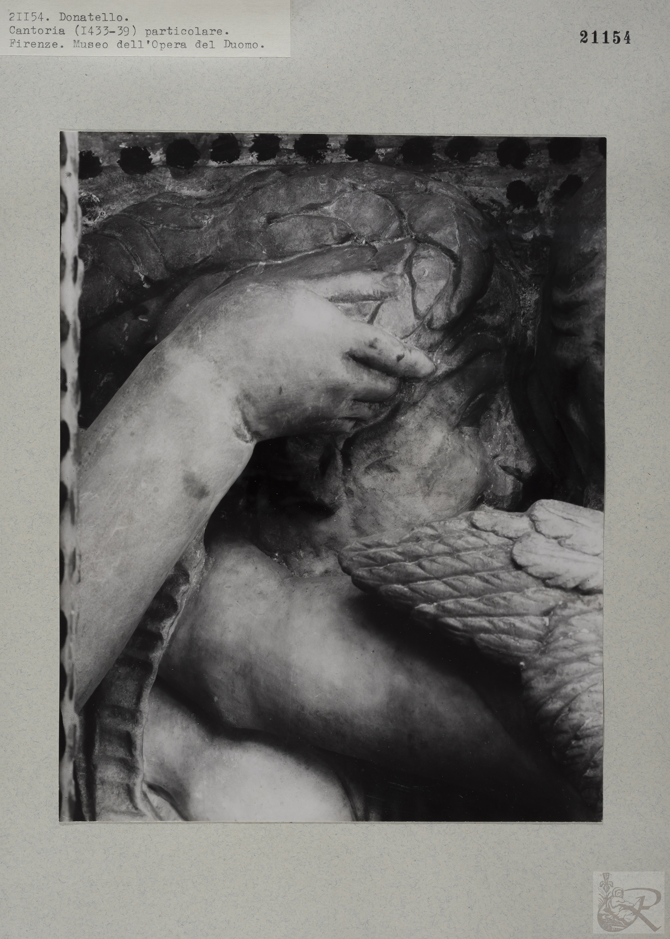 Immagine di anteprima