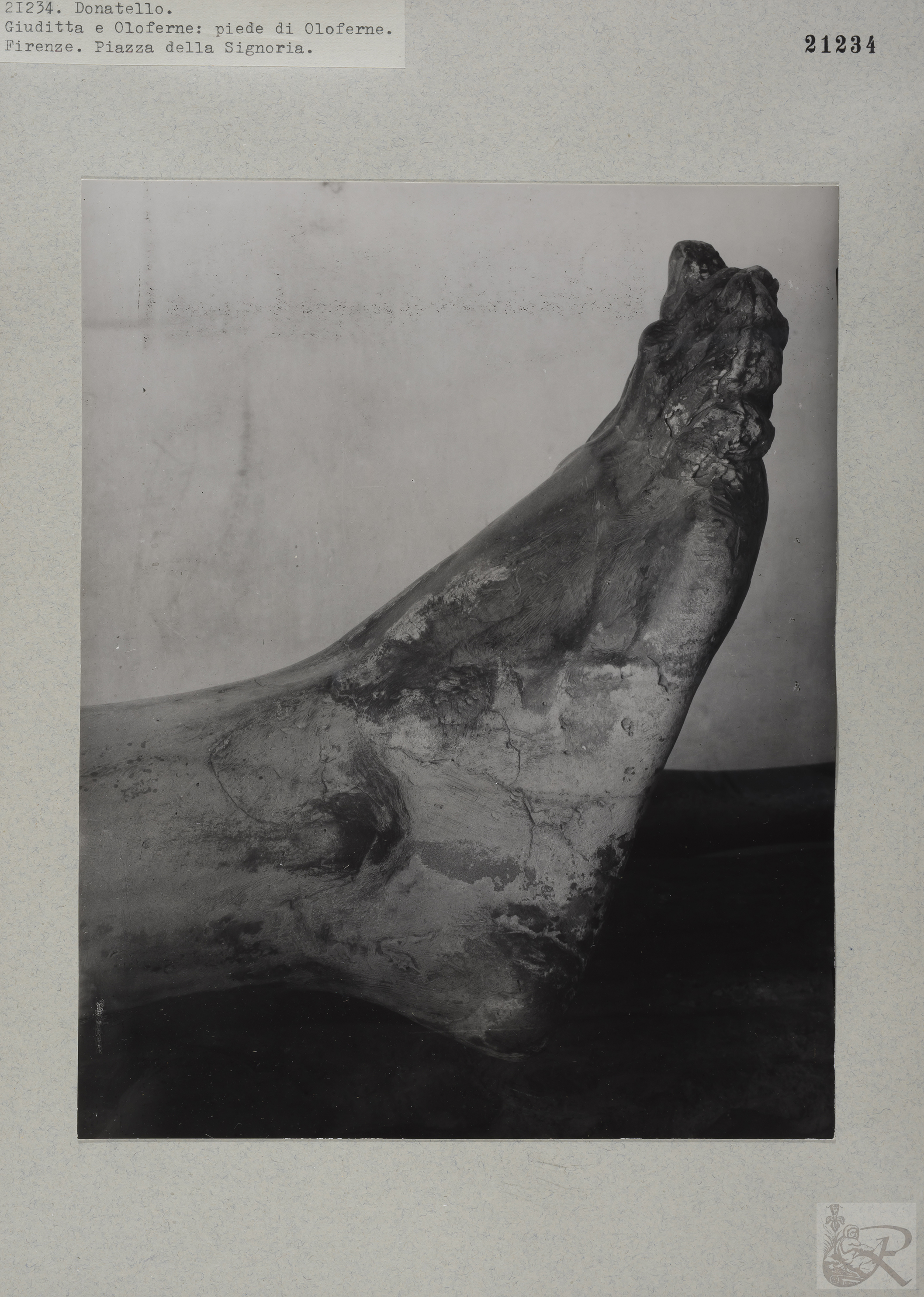 Immagine di anteprima