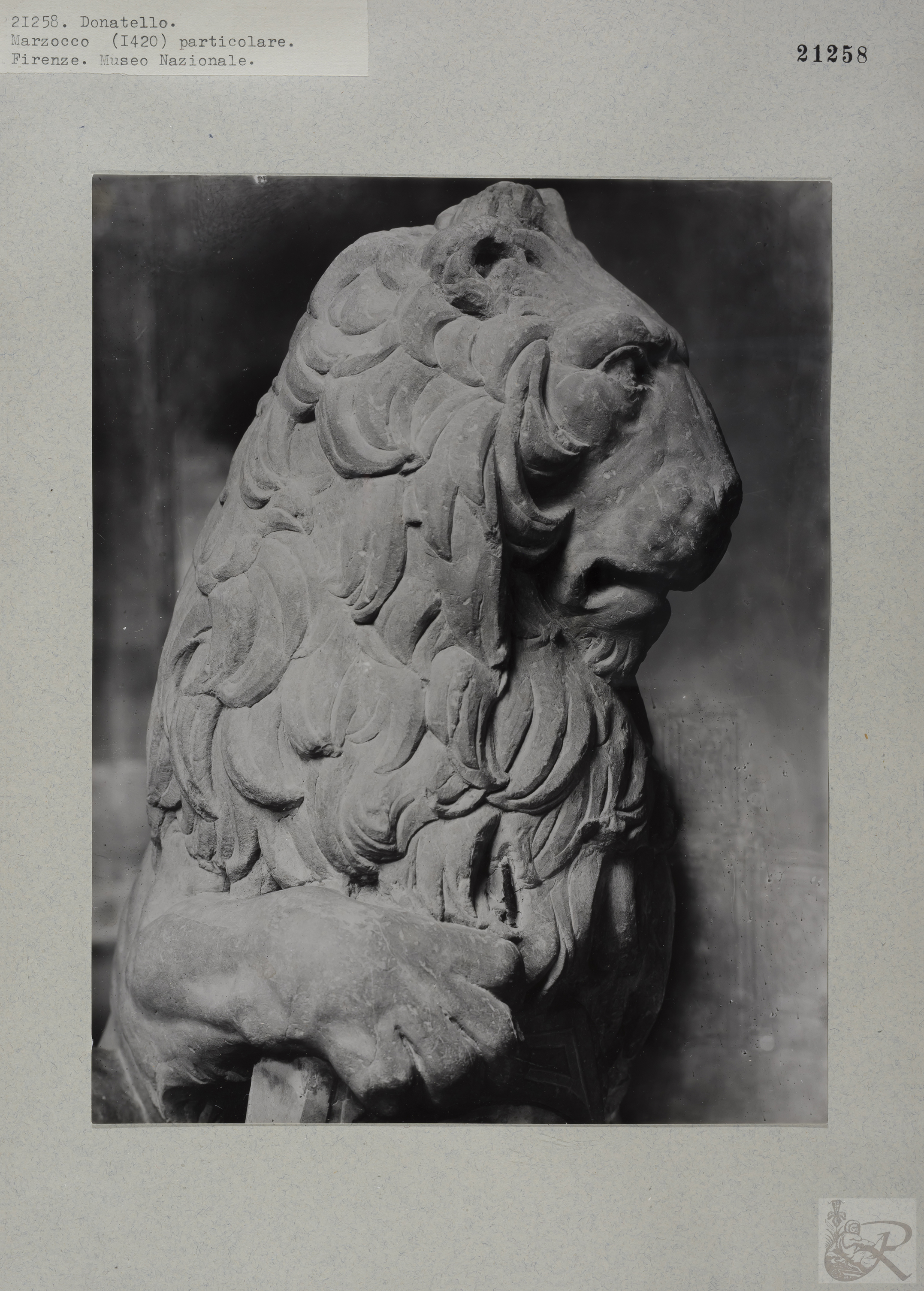 Immagine di anteprima