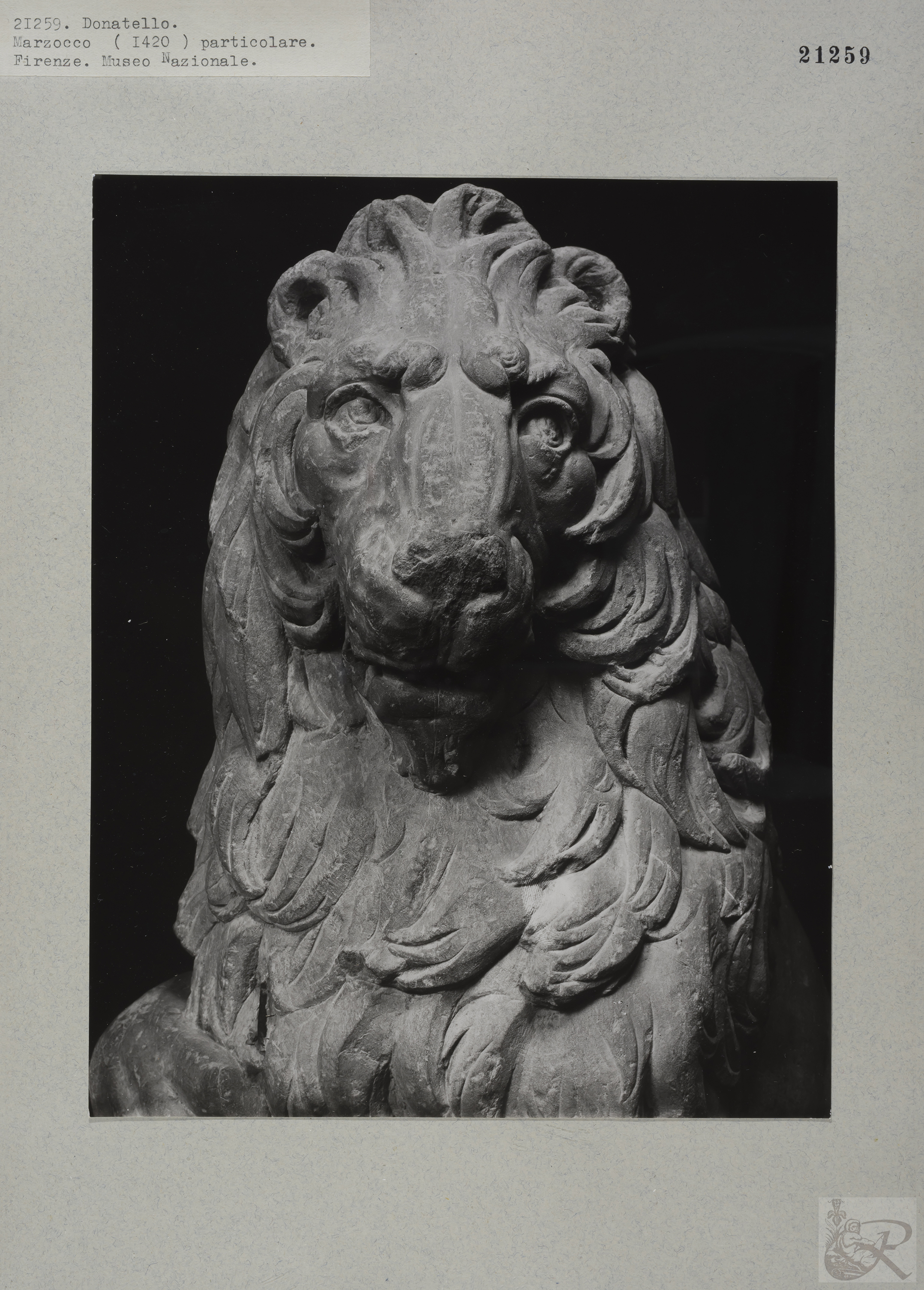 Immagine di anteprima