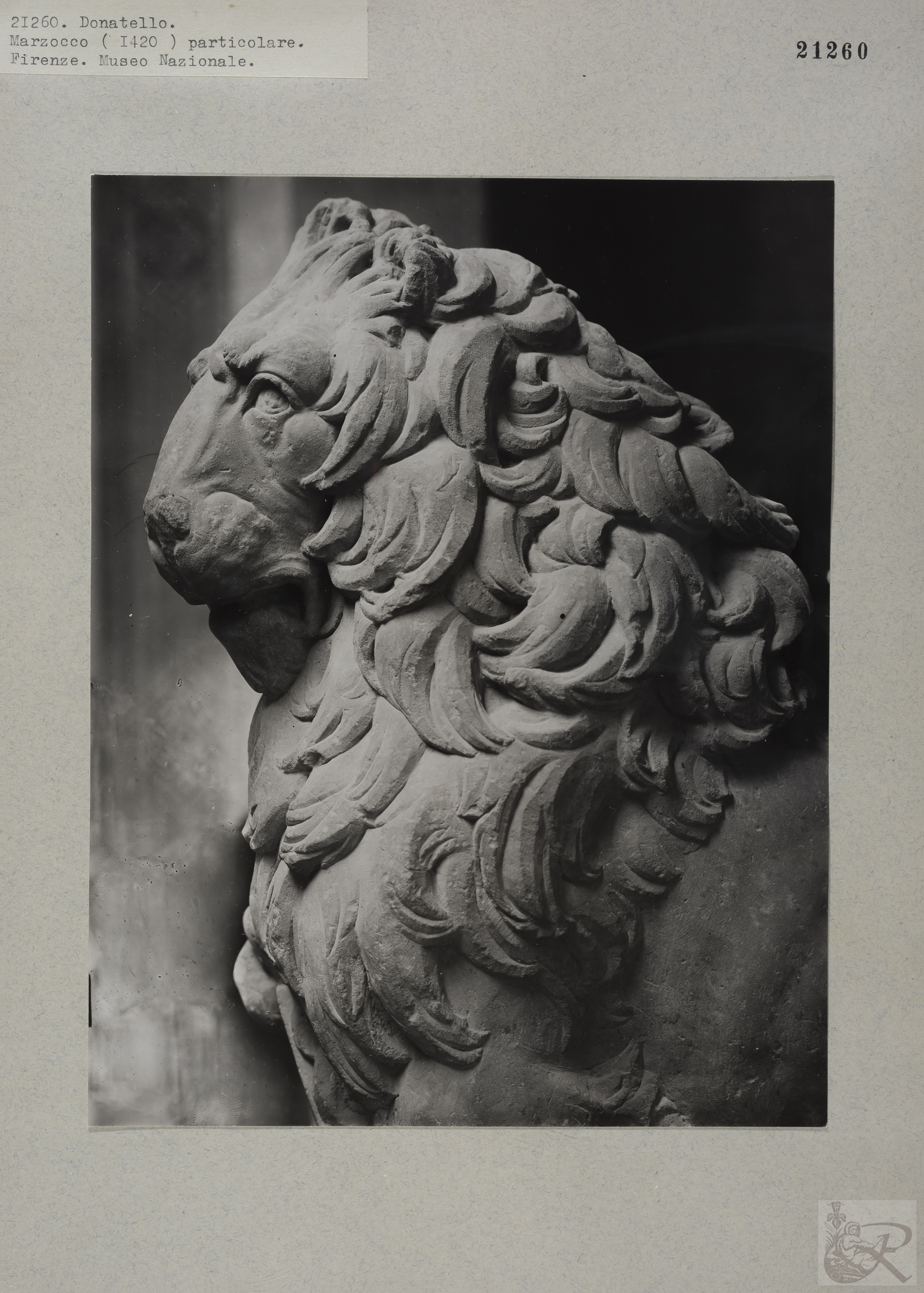 Immagine di anteprima