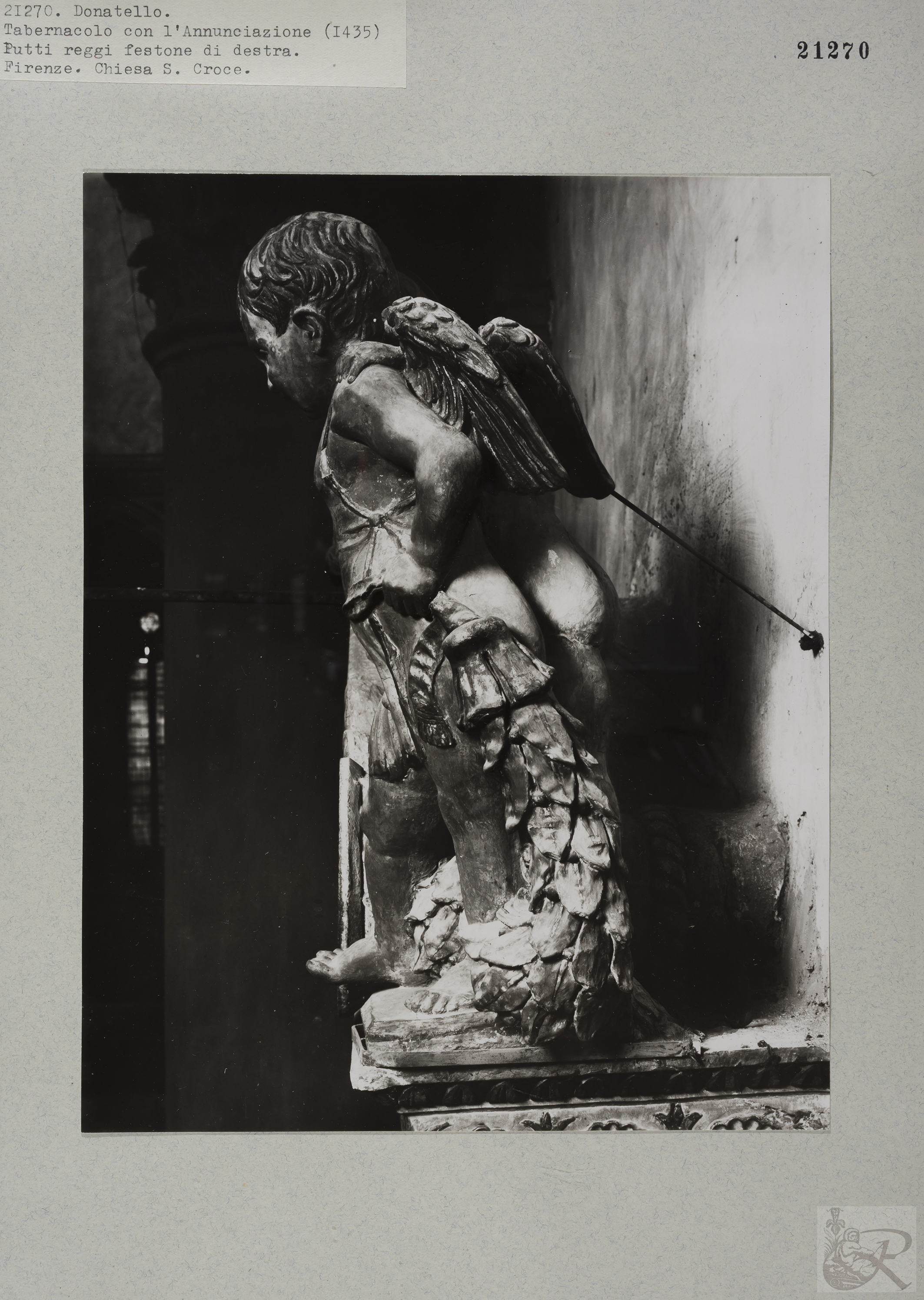 Immagine di anteprima