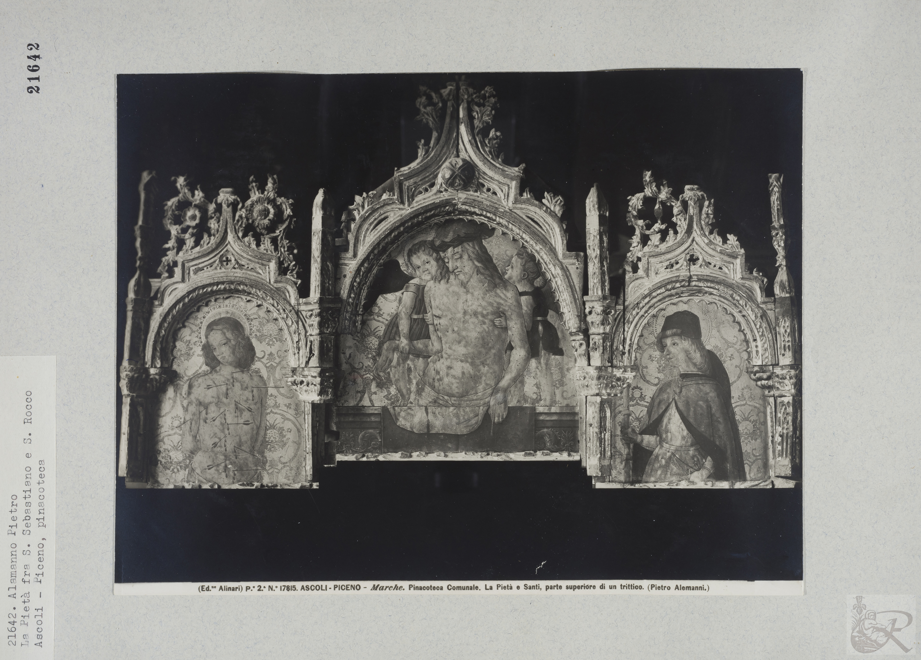 Immagine di anteprima