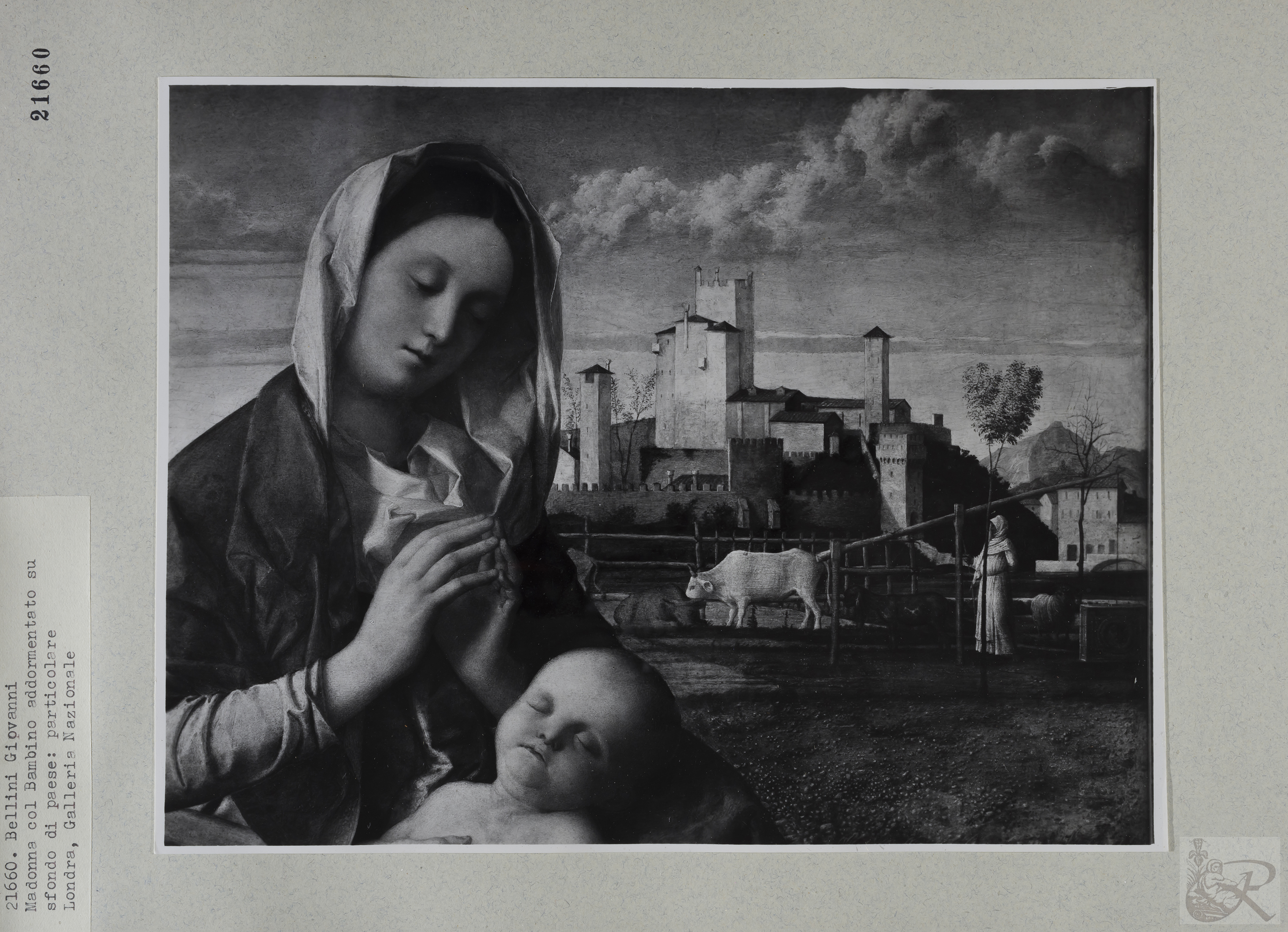 Immagine di anteprima