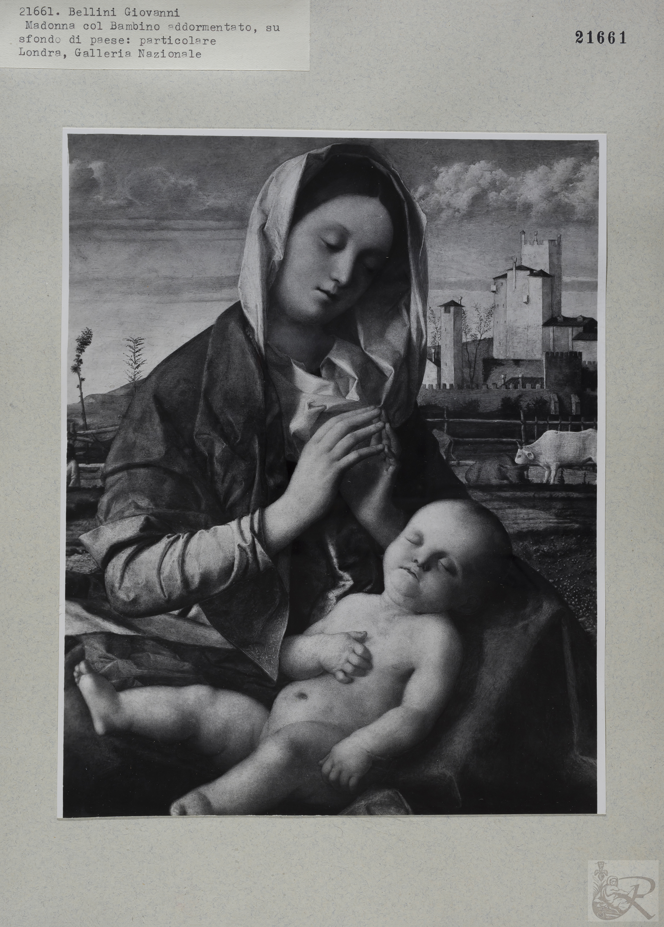 Immagine di anteprima