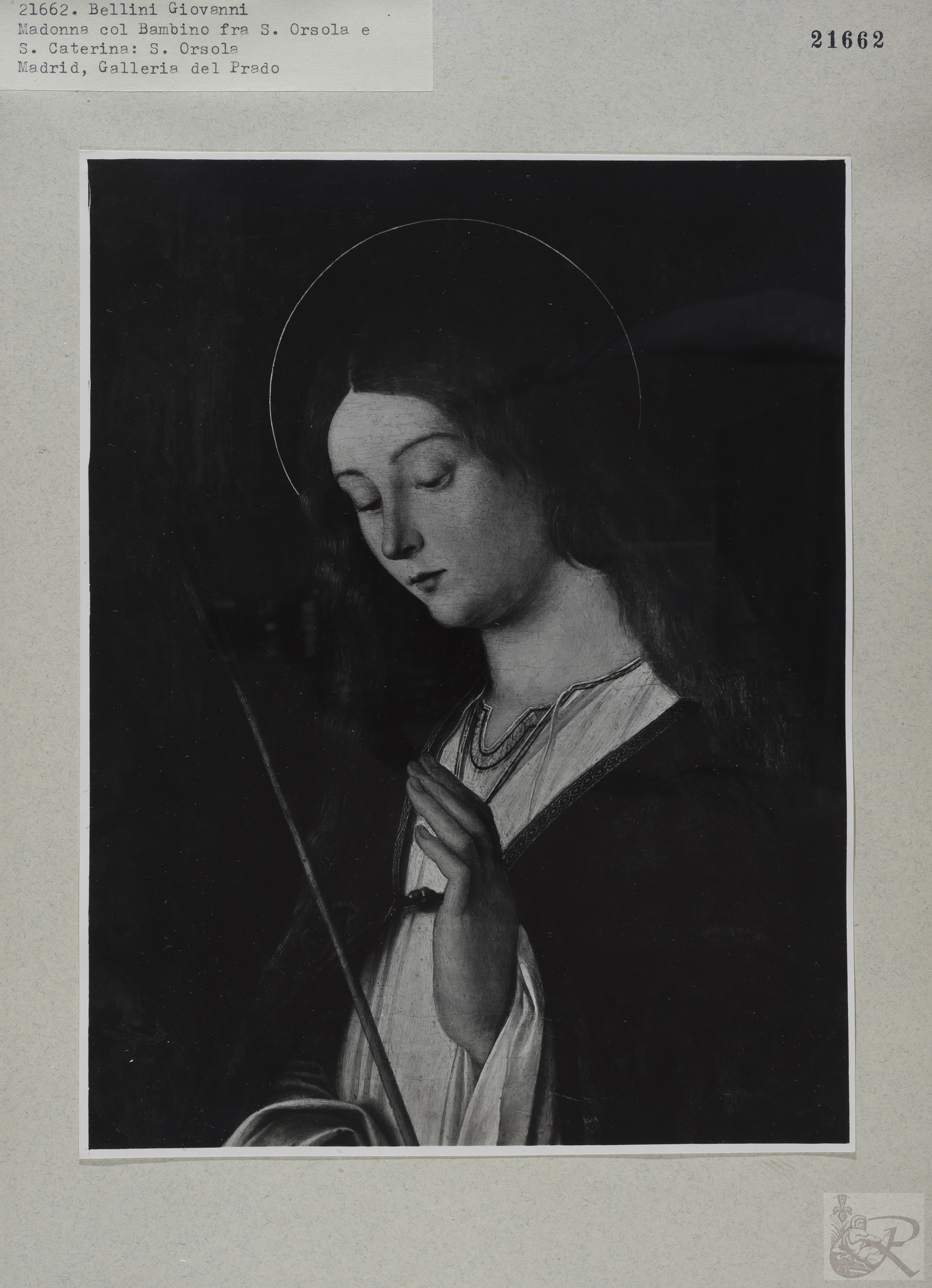 Immagine di anteprima