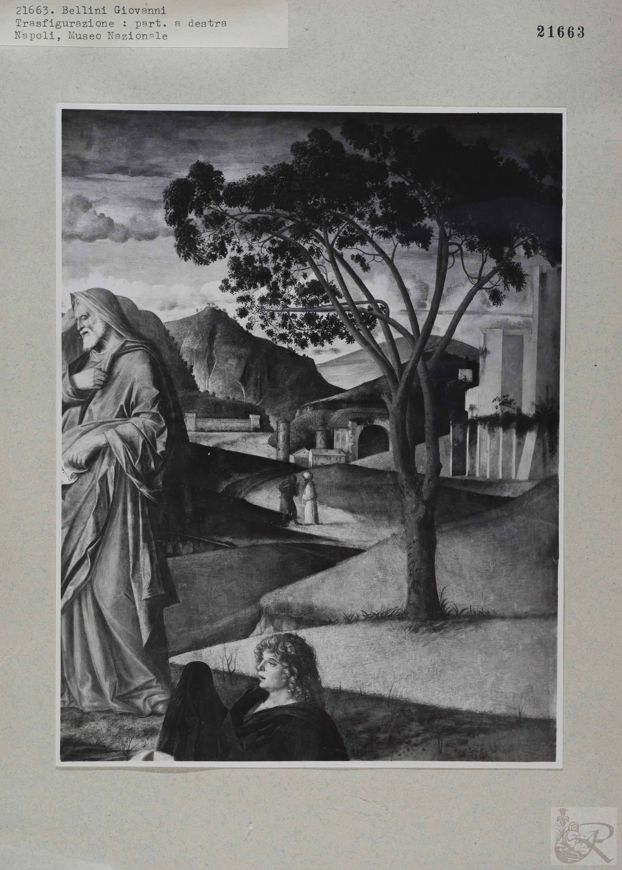 Immagine di anteprima