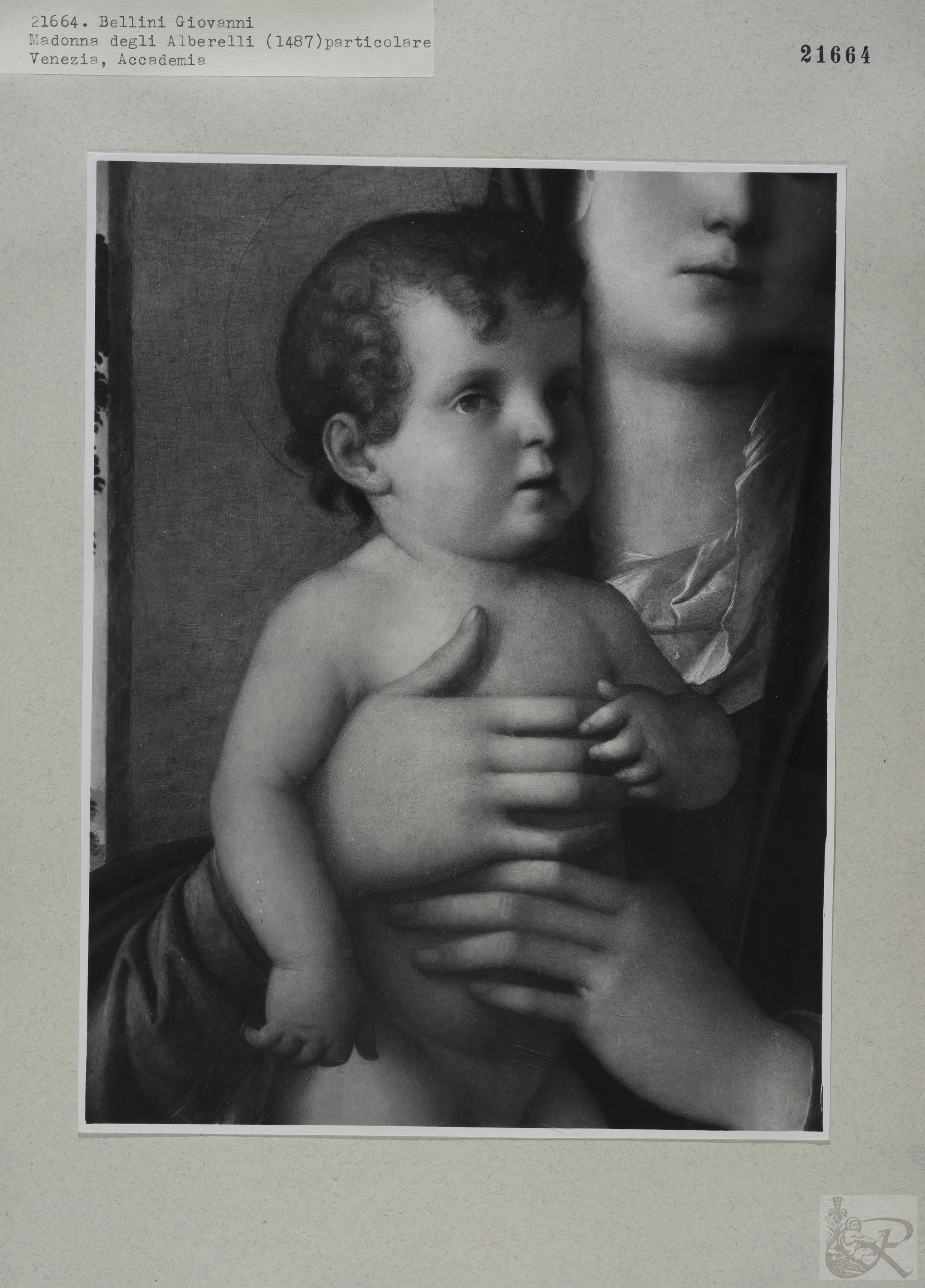 Immagine di anteprima