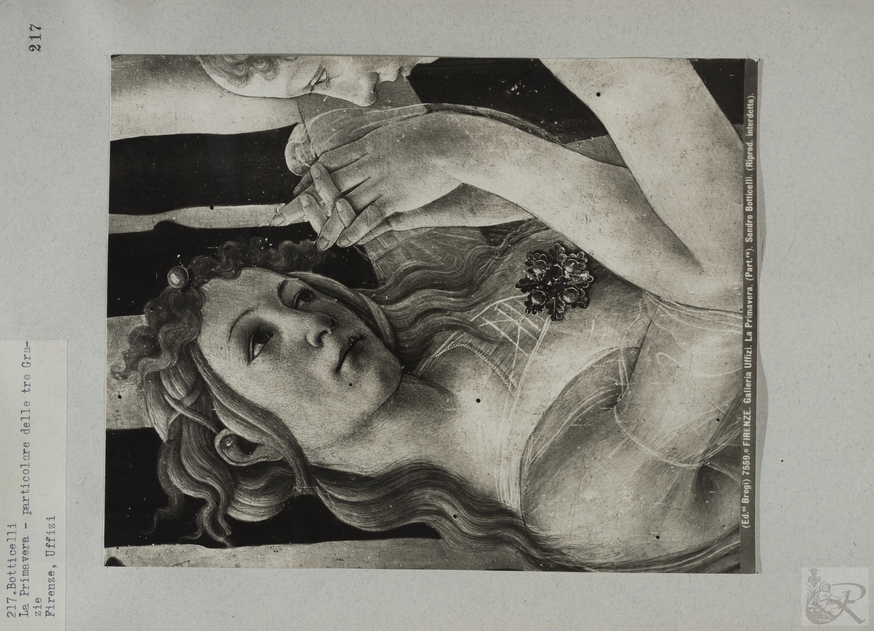 Immagine di anteprima