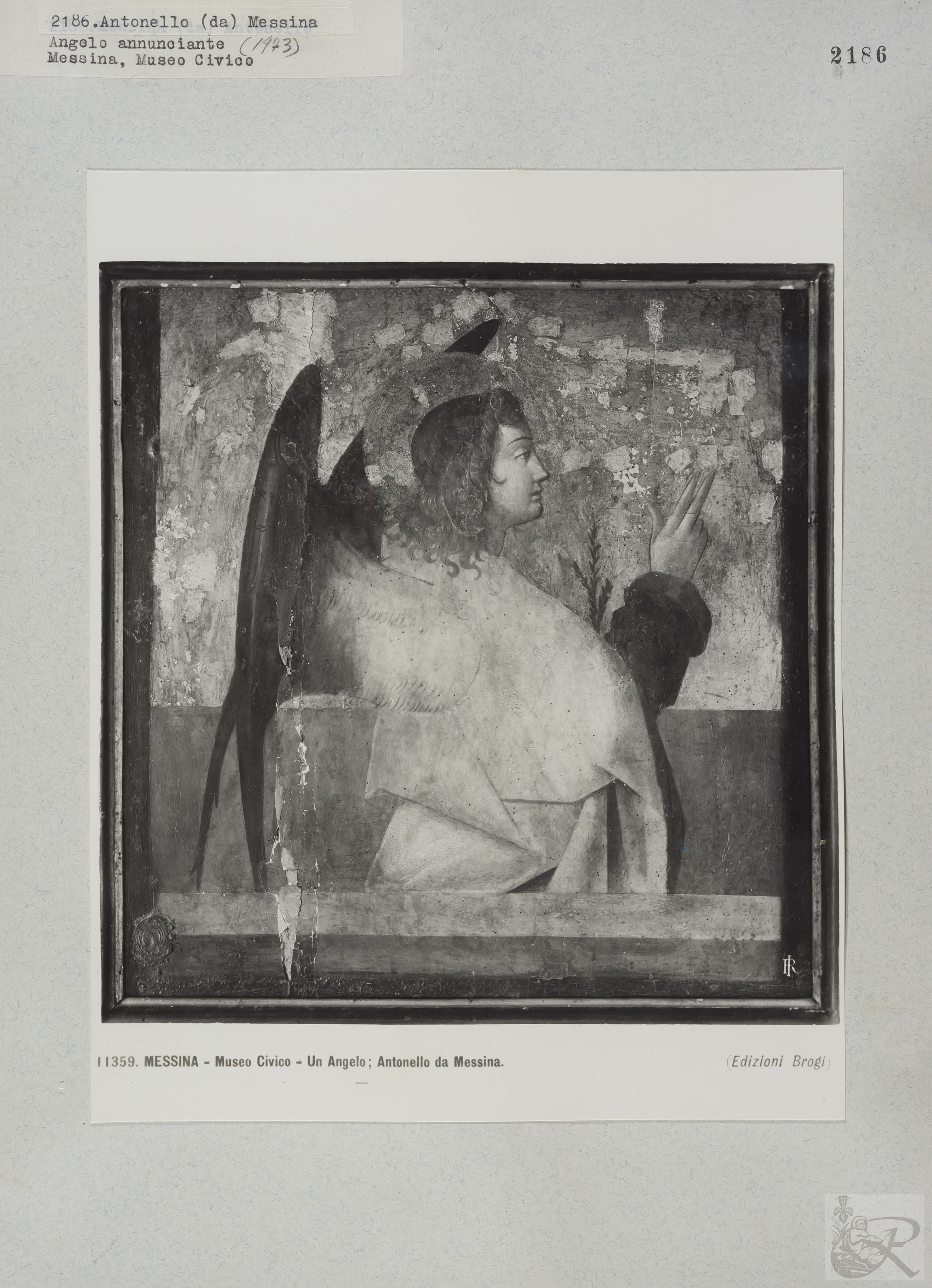 Immagine di anteprima