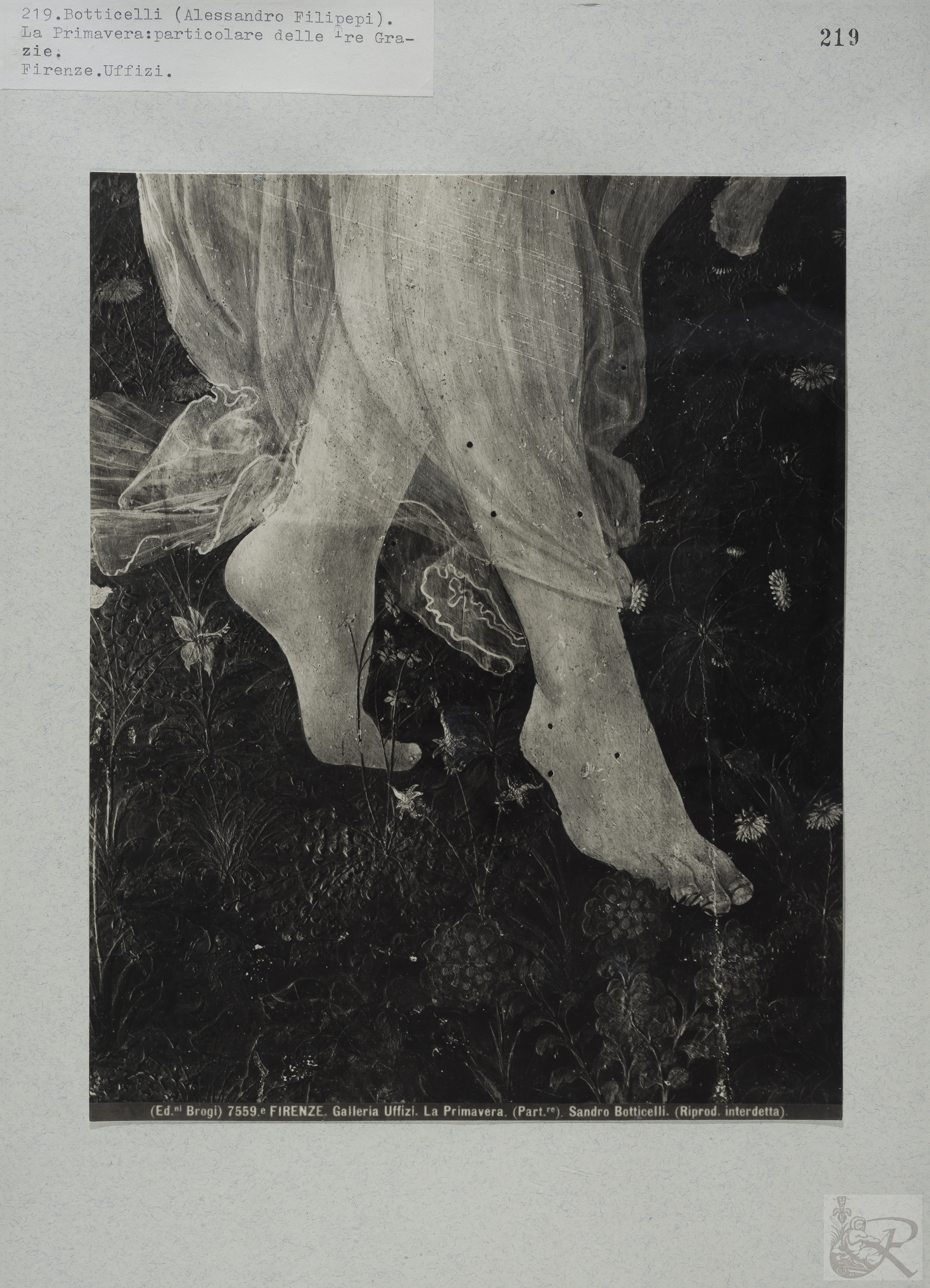 Immagine di anteprima