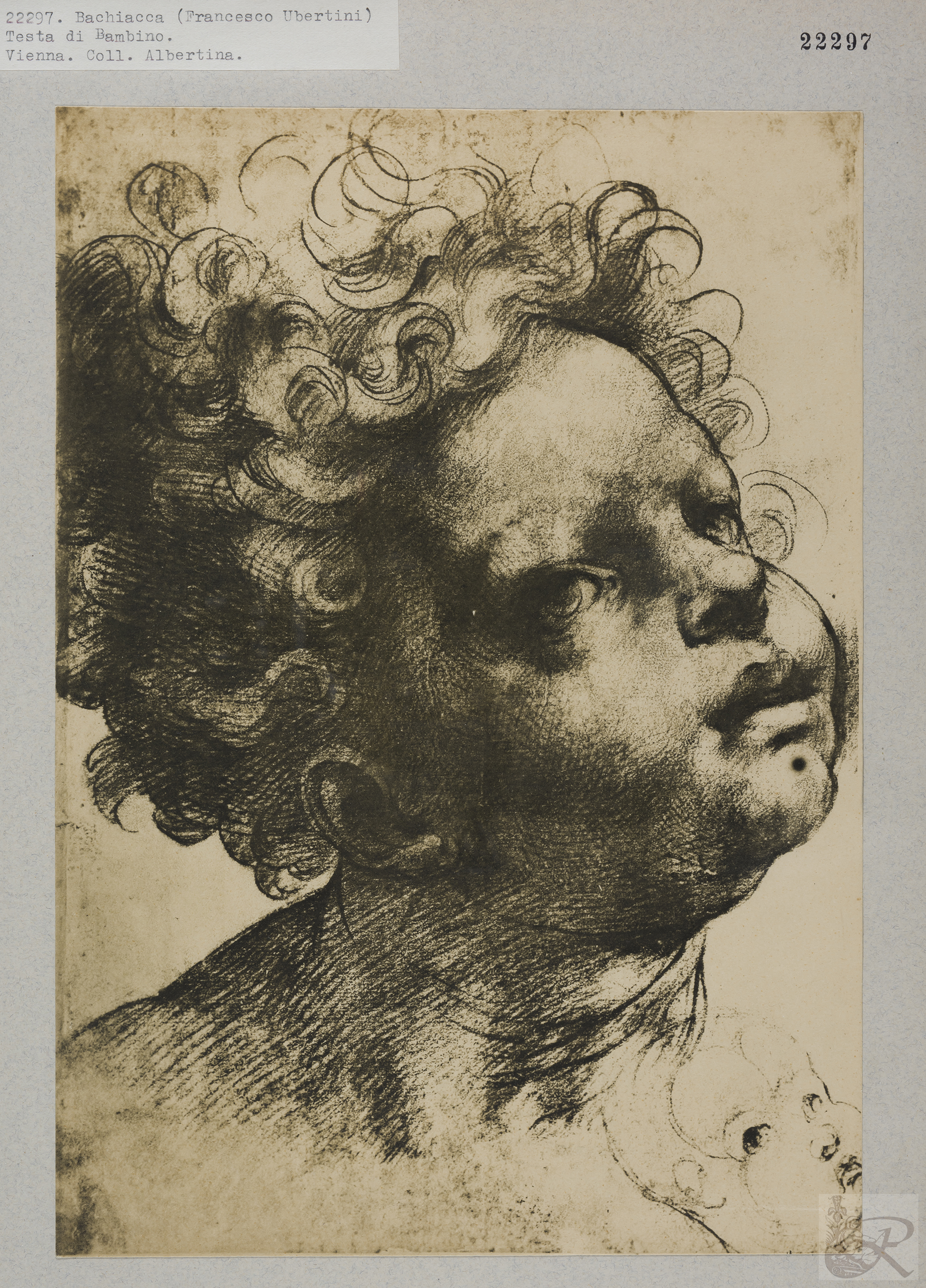 Immagine di anteprima