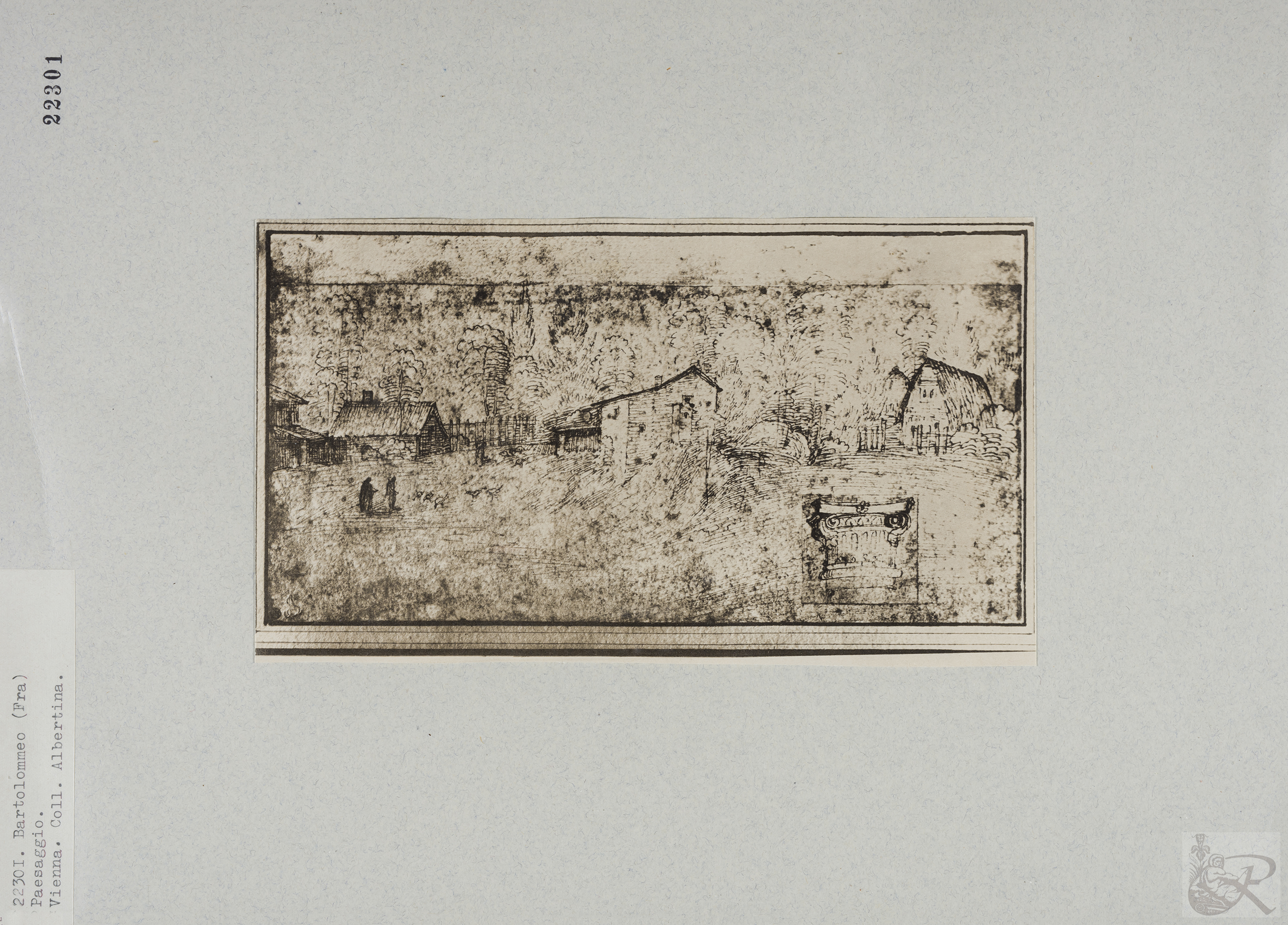 Immagine di anteprima