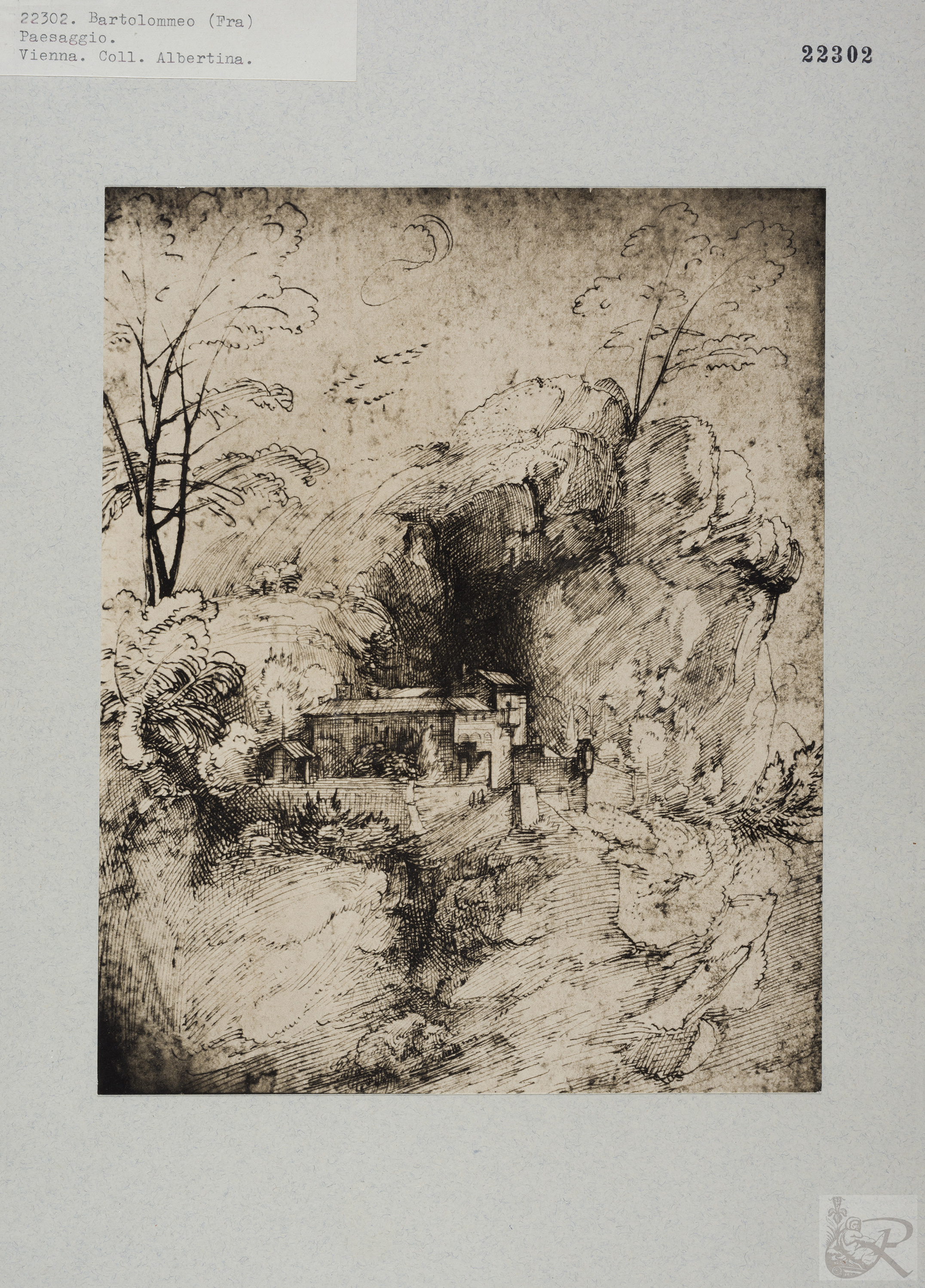 Immagine di anteprima