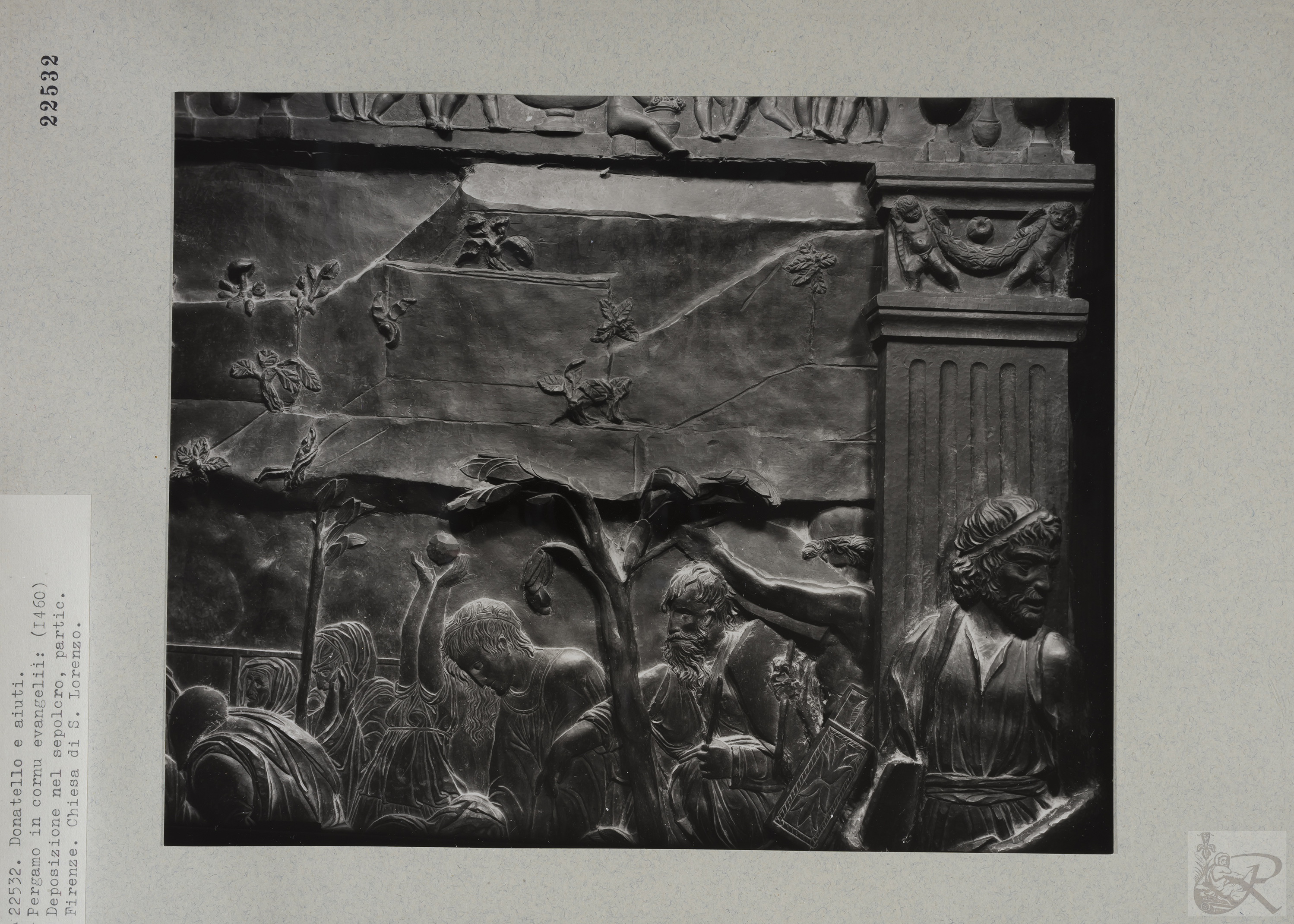 Immagine di anteprima