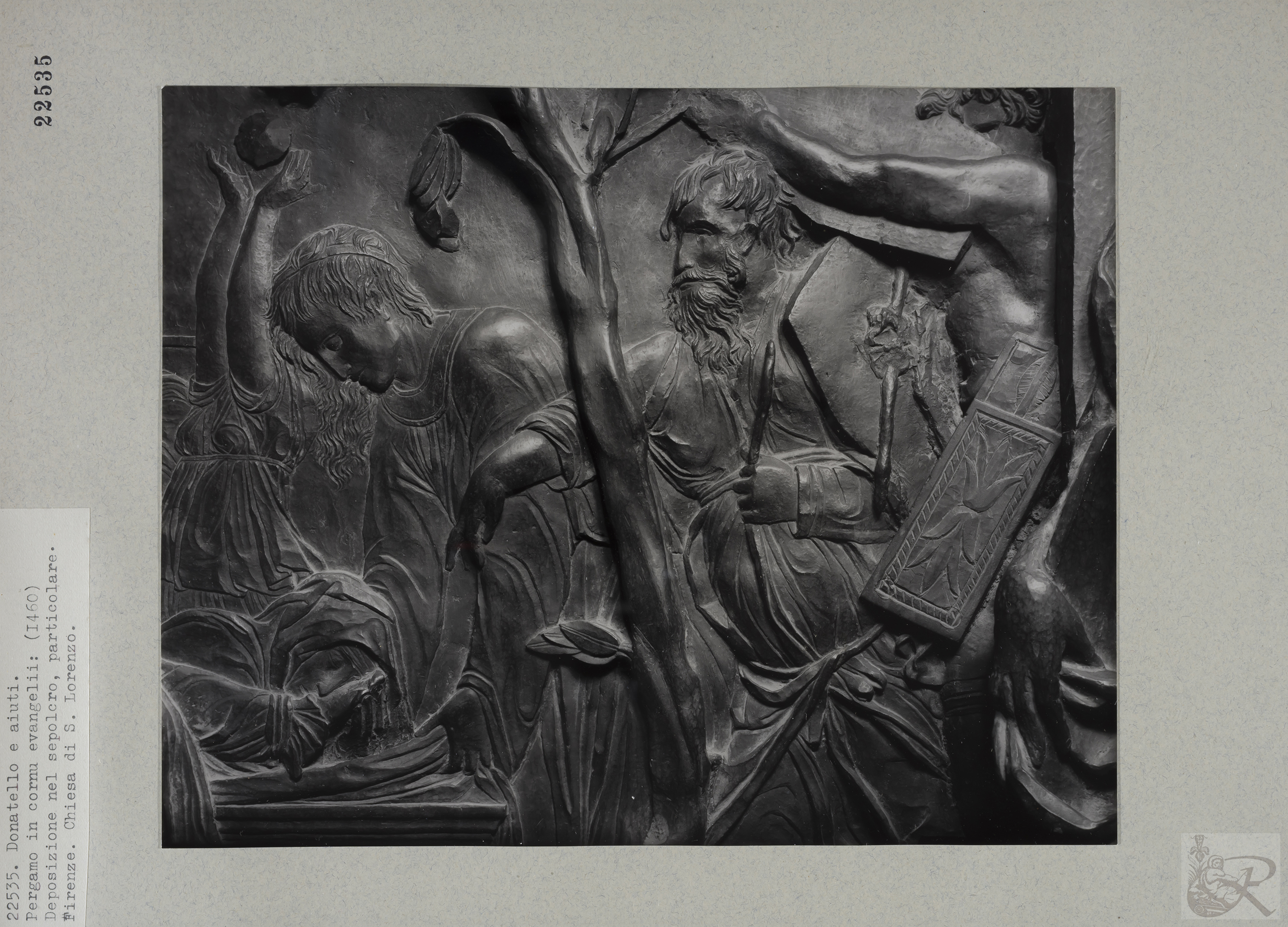 Immagine di anteprima