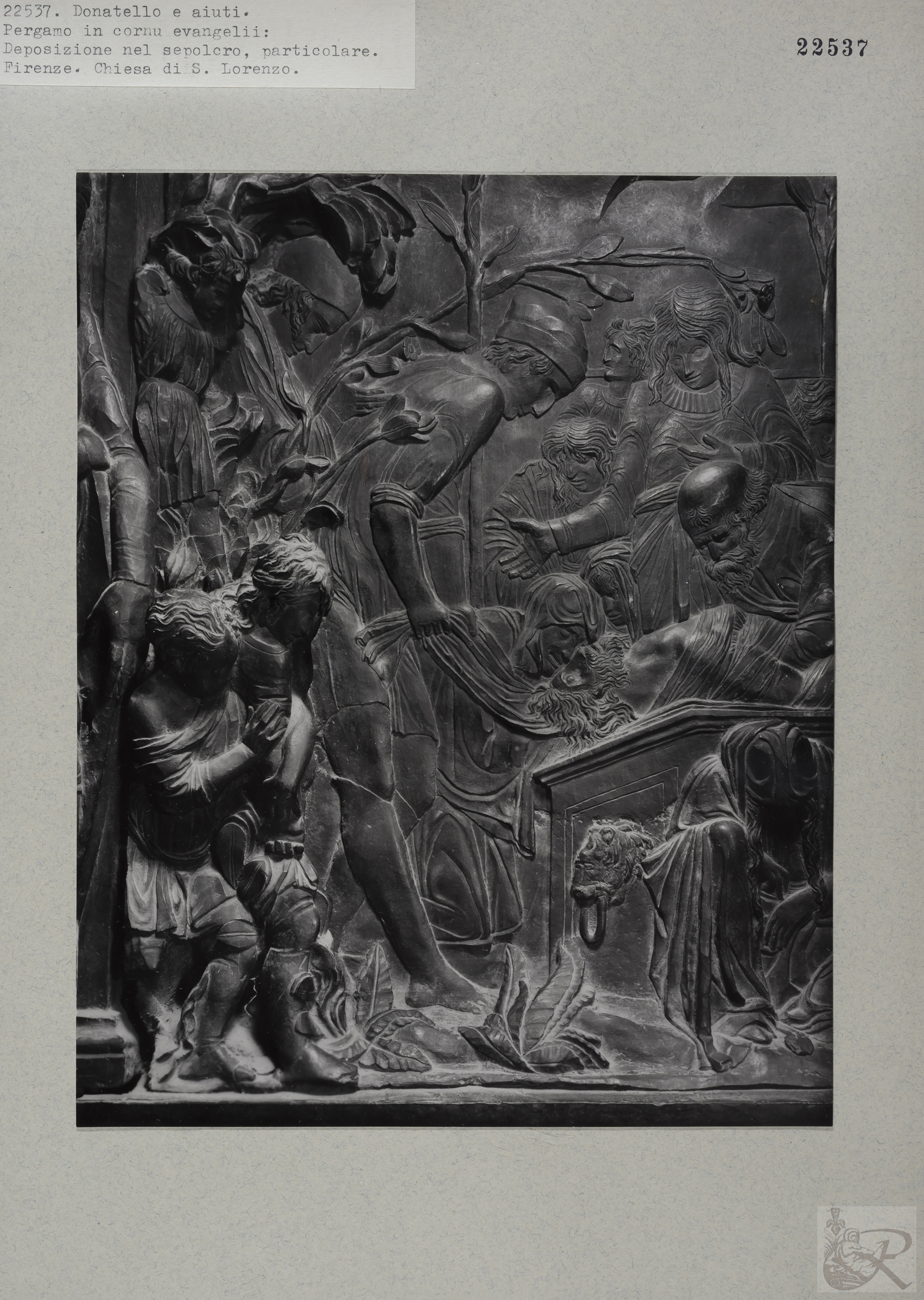 Immagine di anteprima