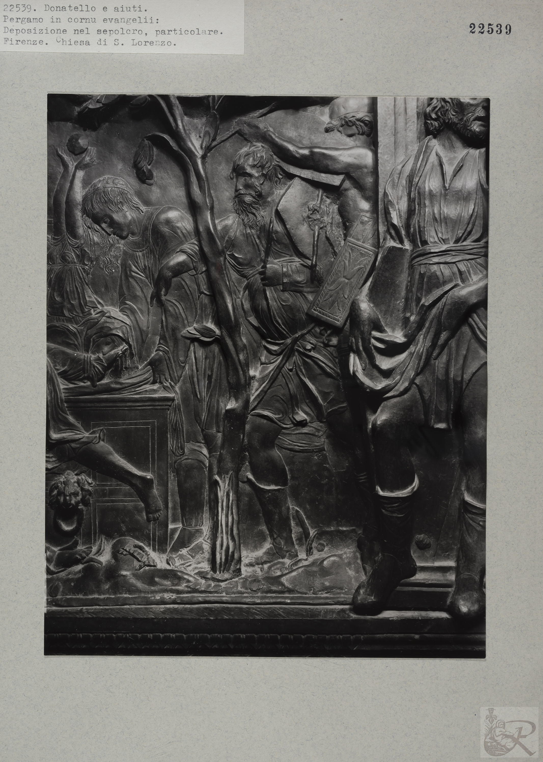 Immagine di anteprima